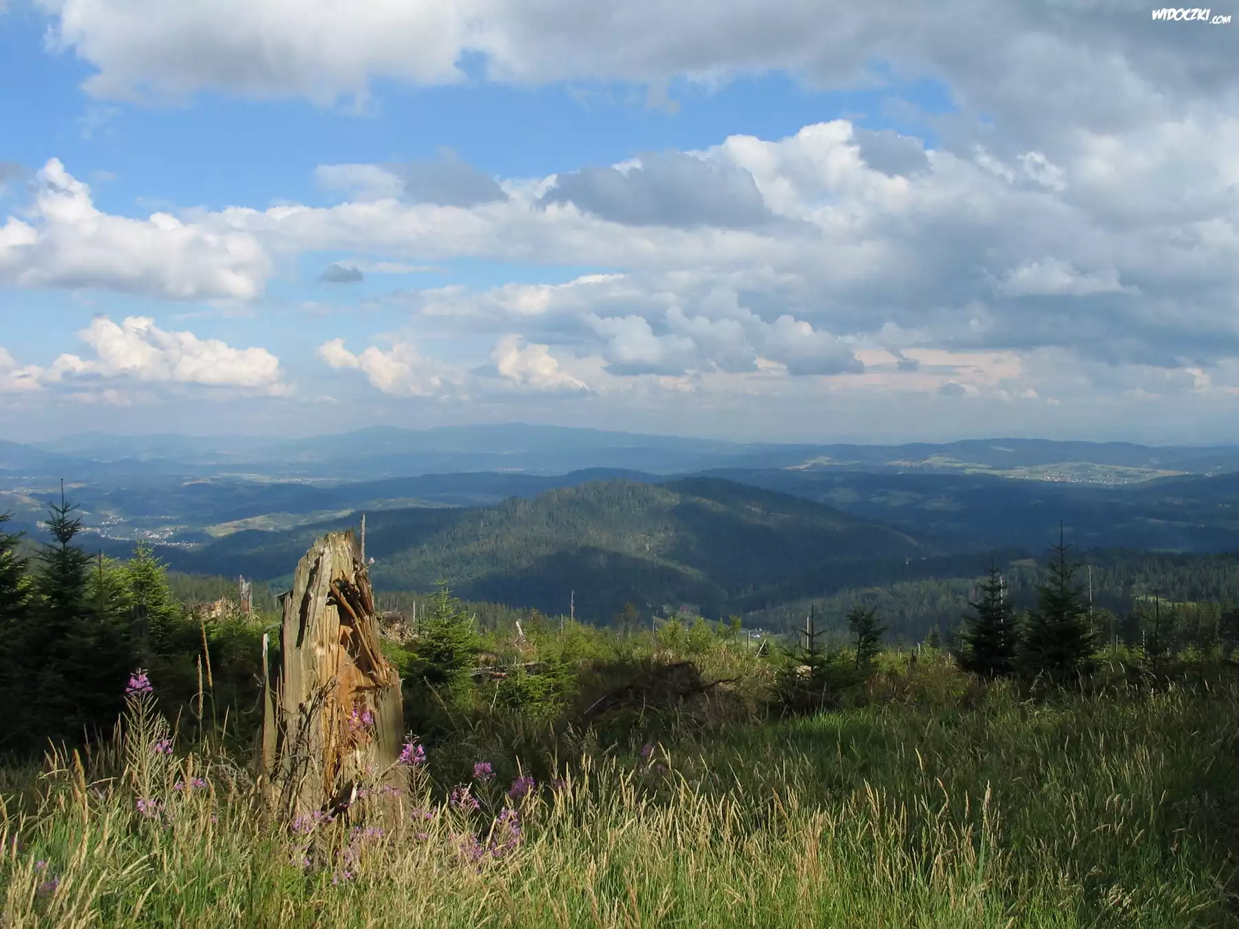 Łąka, Lasy, Góry, Niebo