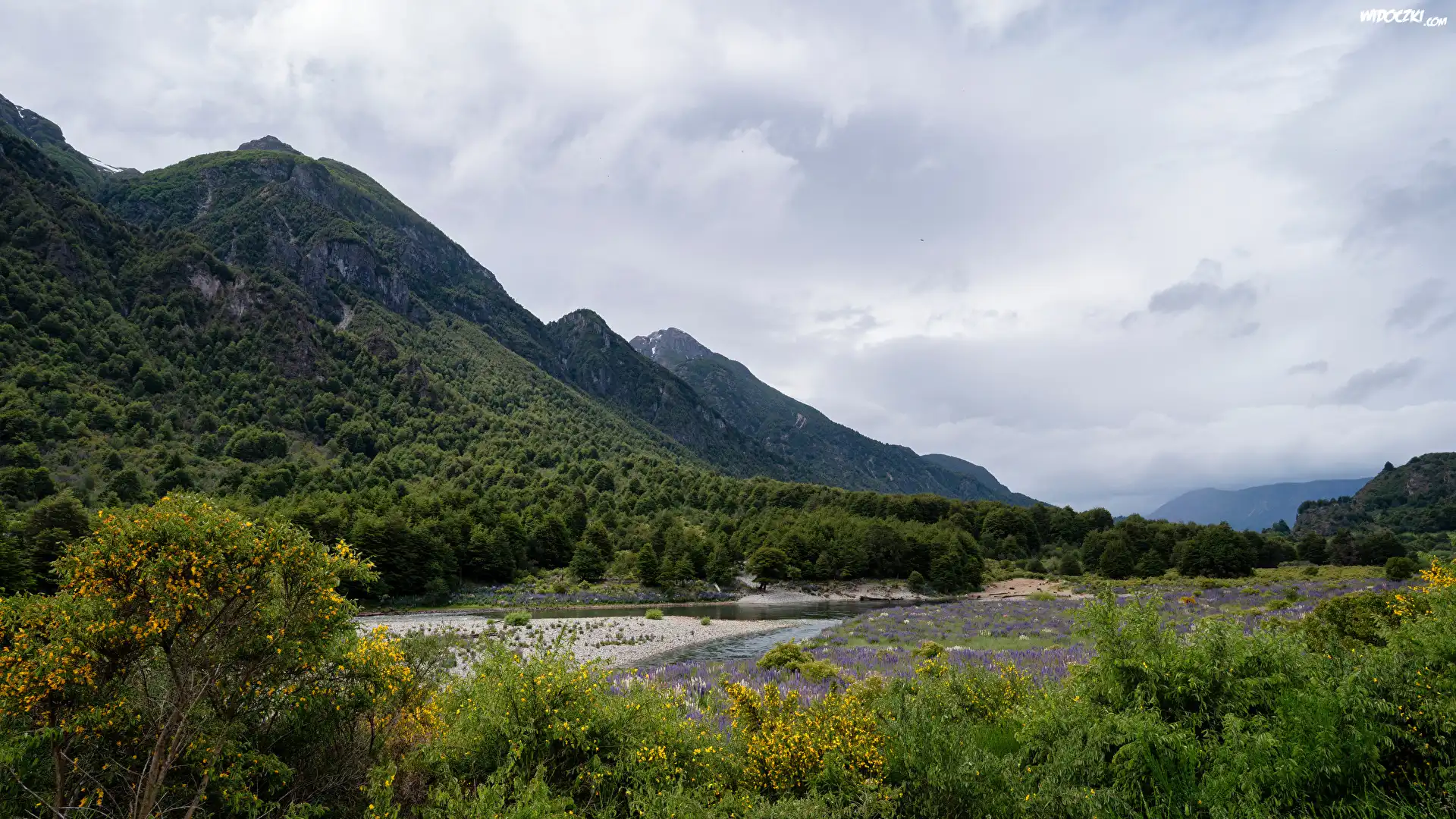 Góry, Rzeka, Lasy, Drzewa