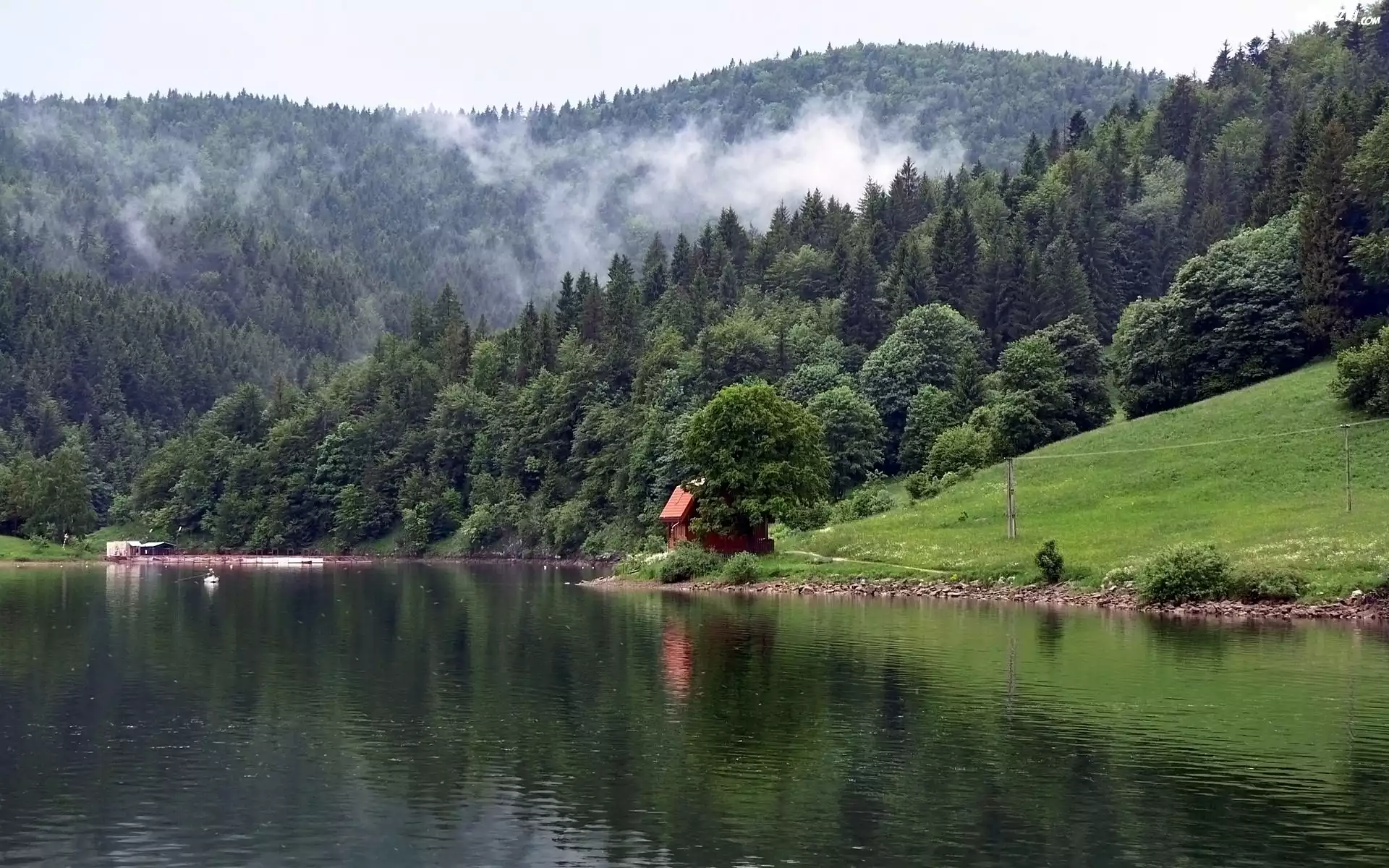 Góry, Karpaty, Rzeka, Lasy, Dom