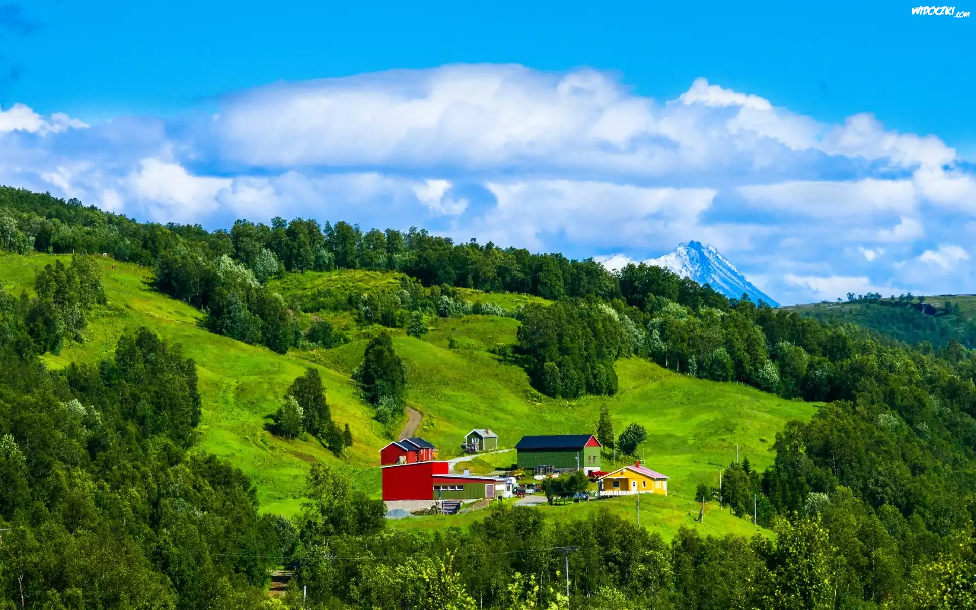 Góry, Lasy, Łąki, Zabudowania, Lato, Wzgórza