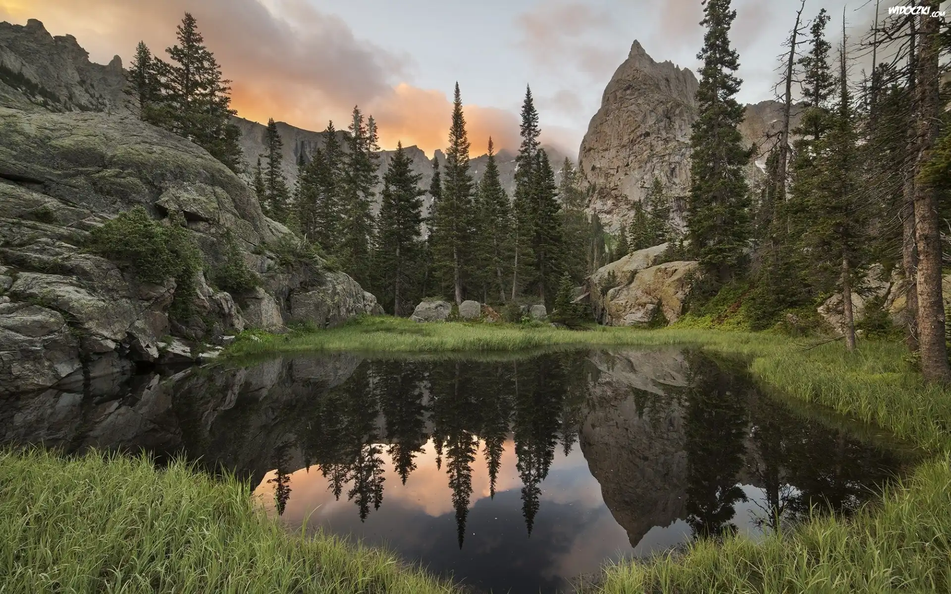 Góry Skaliste, Góra, Lone Eagle Peak, Skały, Drzewa, Rozlewisko, Kałuża, Kolorado, Stany Zjednoczone