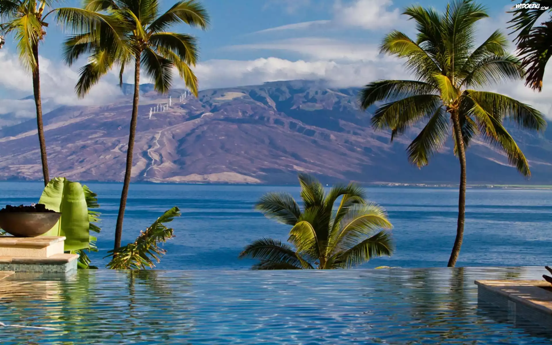 Góry, Morze, Basen, Palmy, Maui, Hawaje
