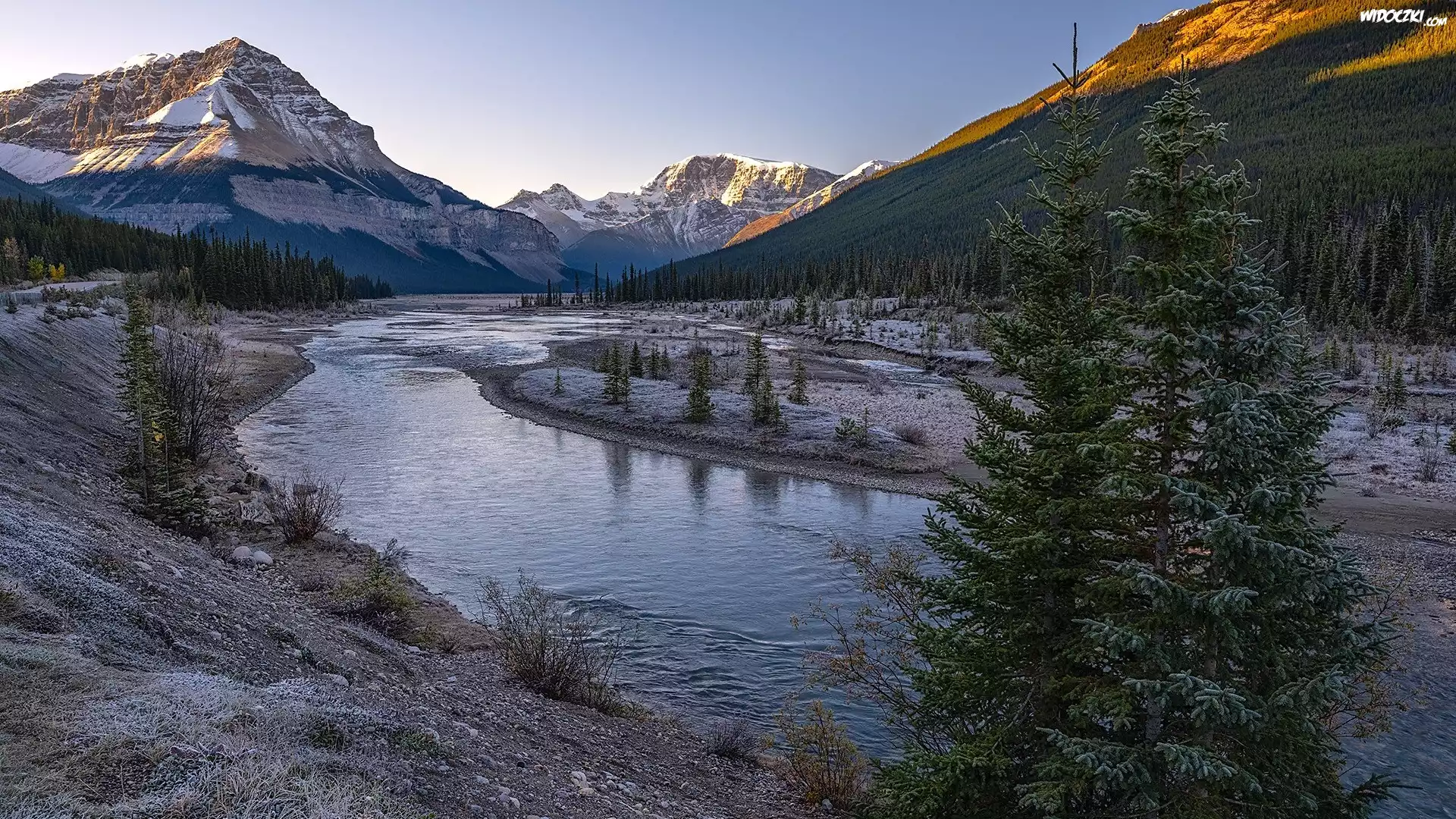 Góry Skaliste, Rzeka, Athabasca, Drzewa, Park Narodowy Jasper, Kanada