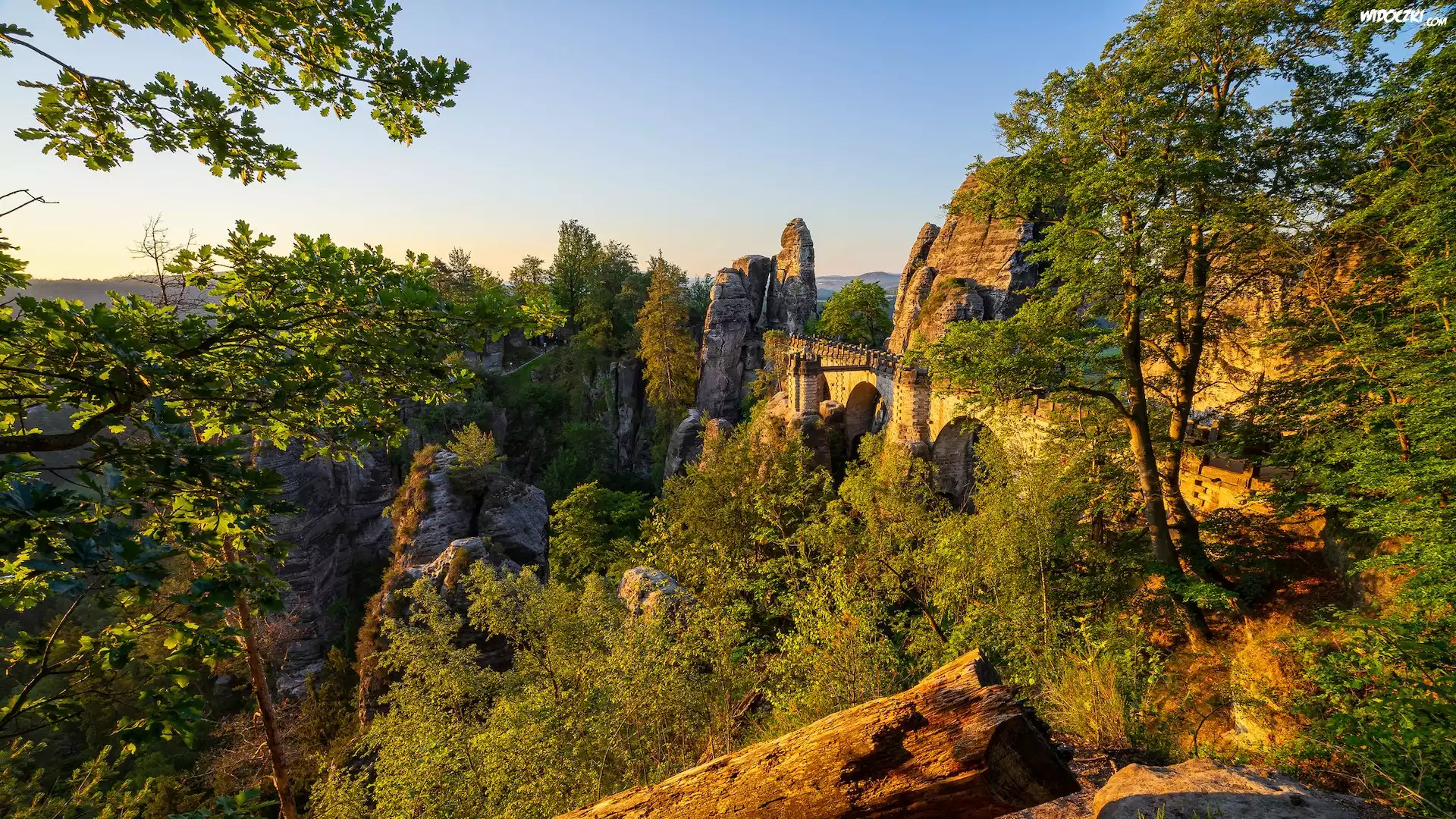 Góry Połabskie, Park Narodowy Saskiej Szwajcarii, Niemcy, Formacja skalna, Bastei, Skały, Most, Drzewa