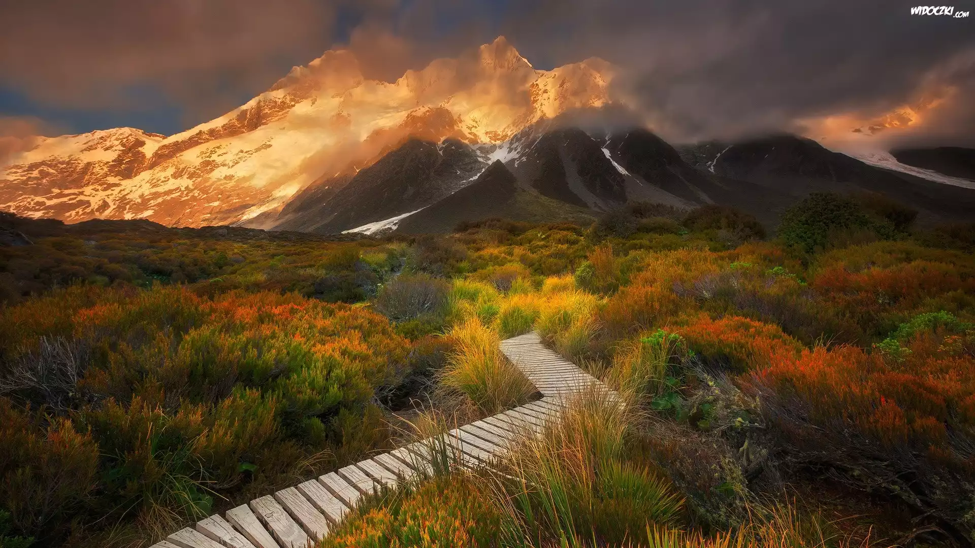 Nowa Zelandia, Park Narodowy Góry Cooka, Szlak Hooker Valley, Góry, Góra Cooka, Roślinność, Dróżka