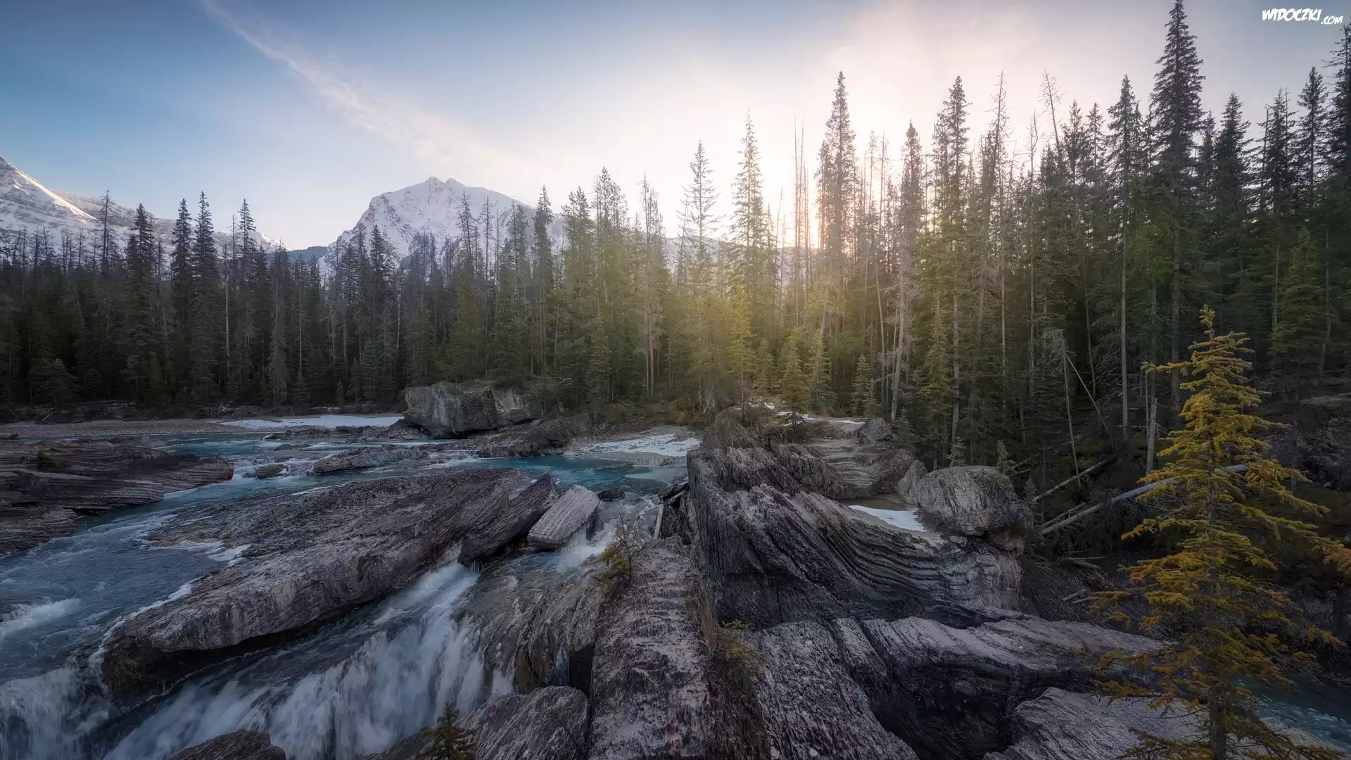 Góry, Canadian Rockies, Park Narodowy Yoho, Kolumbia Brytyjska Kanada, Drzewa, Las, Rzeka, Skały