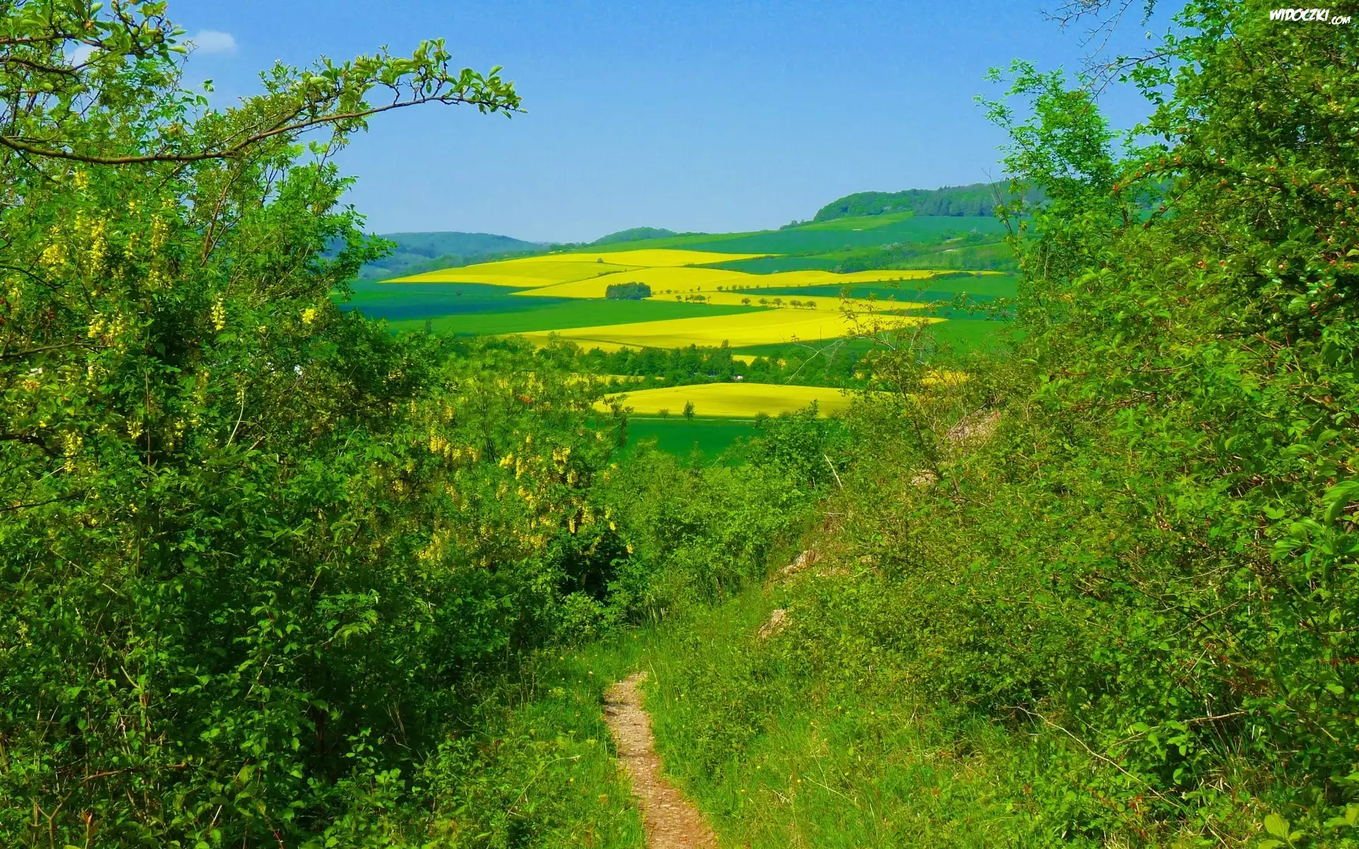 Łąki, Pola, Góry, Ścieżka