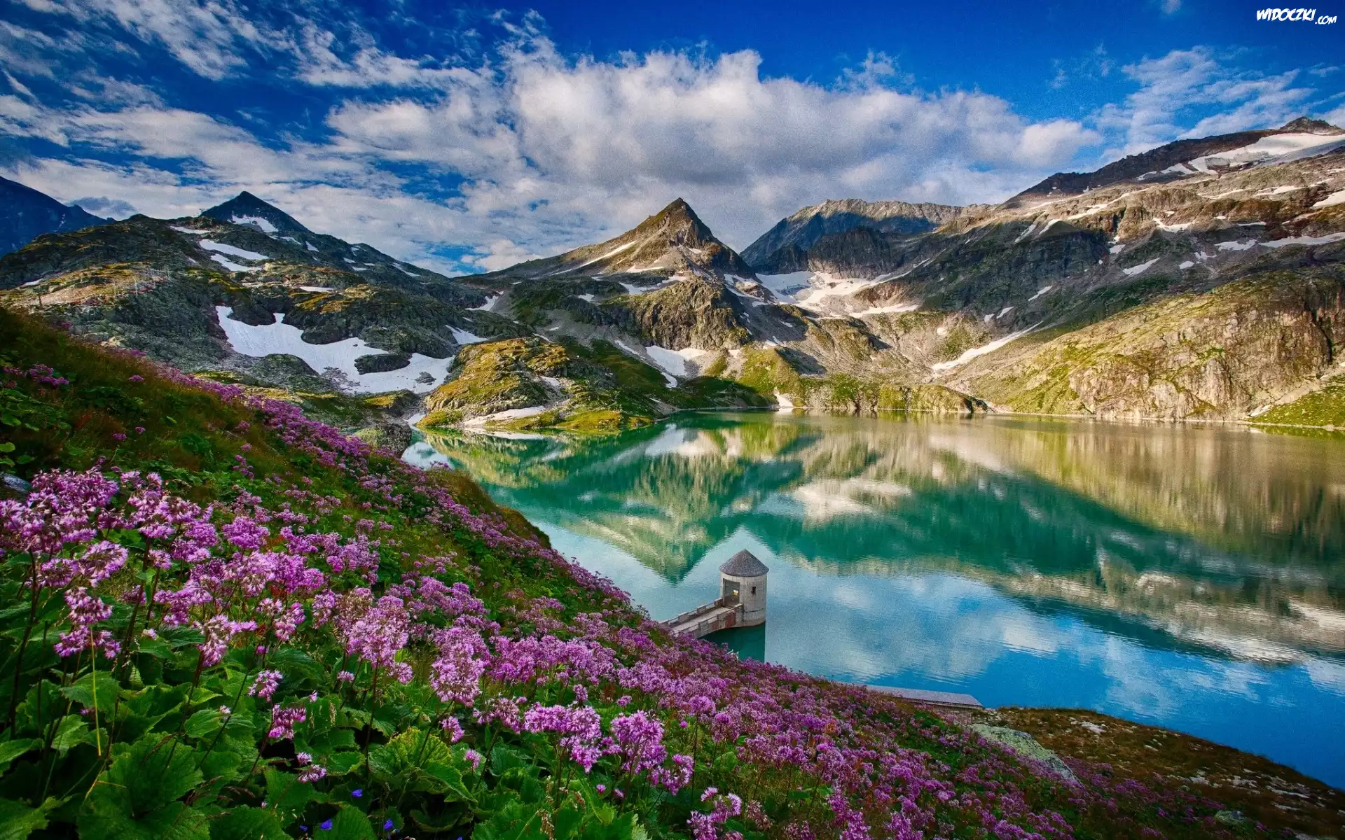 Austria, Weisssee, Góry, Alpy, Jezioro, Różowe, Kwiaty