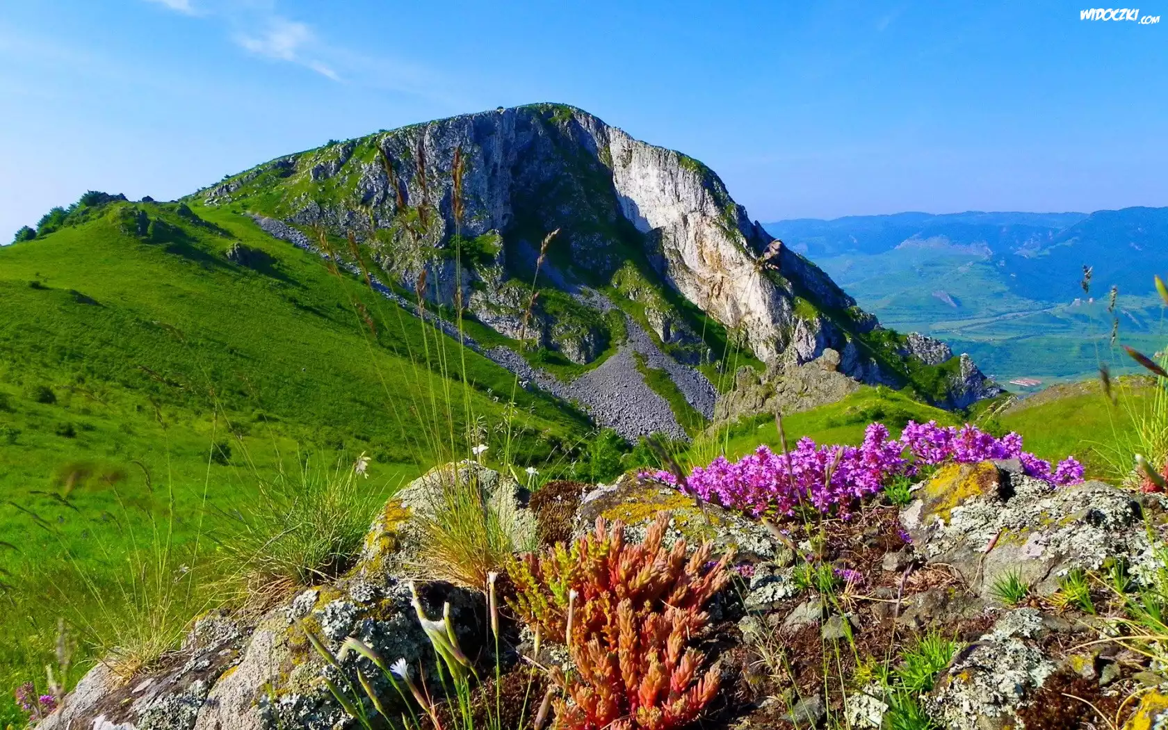 Góry, Skały, Roślinki, Skalniaki, Trawy