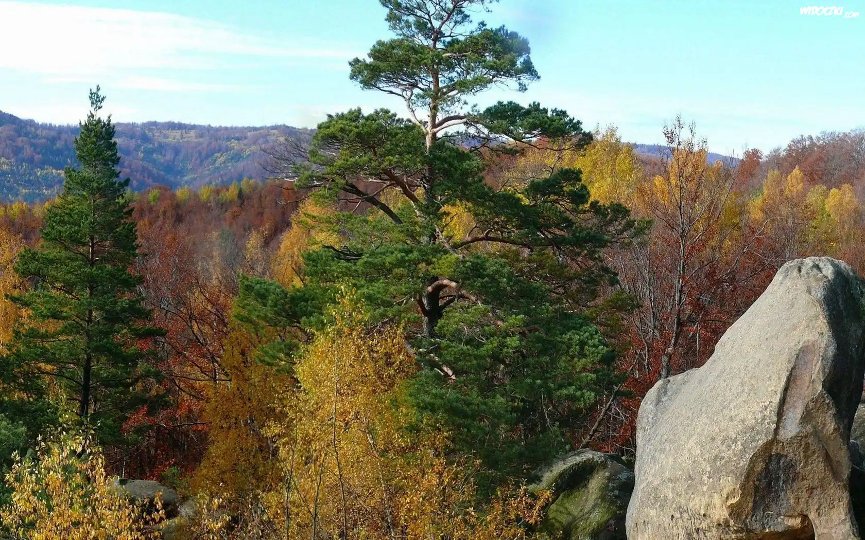 Góry, Lasy, Drzewa, Skały, Jesień