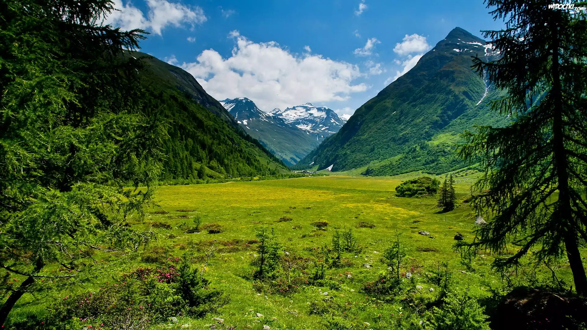 Góry, Lasy, Tyrol, Austria