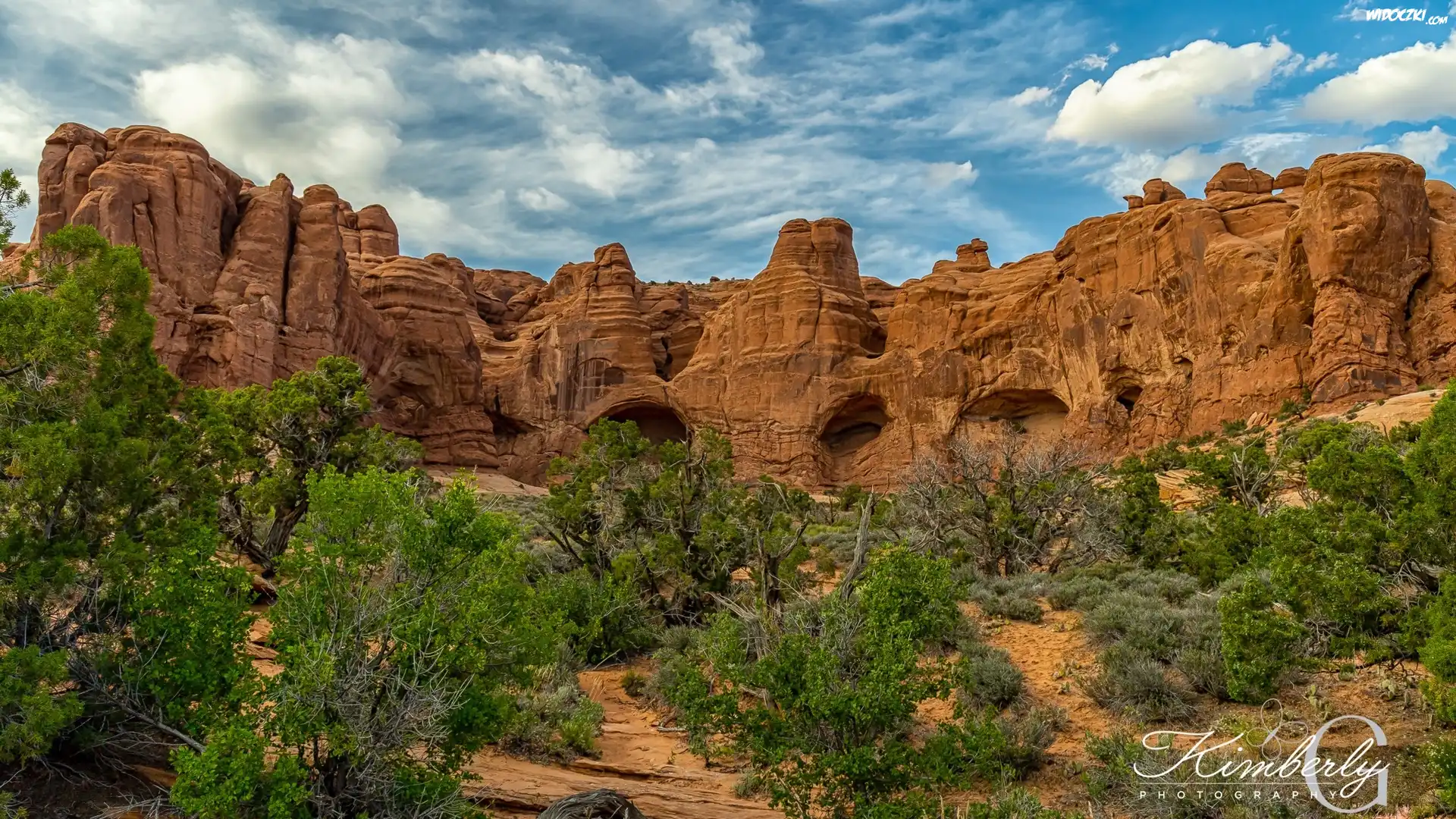 Góry, Skały, Krzewy, Park Narodowy Arches, Utah, Stany Zjednoczone