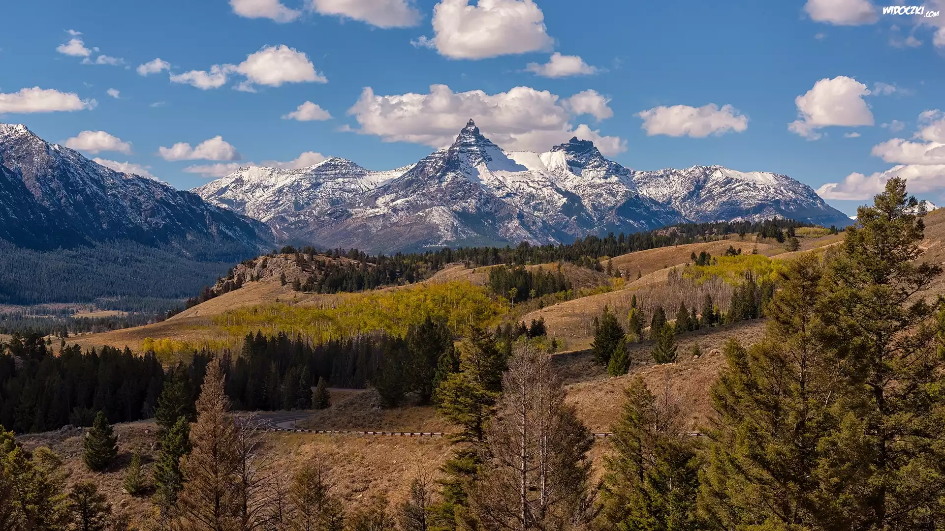 Góry, Absaroka Range, Szczyty, Drzewa, Wzgórza, Wyoming, Stany Zjednoczone