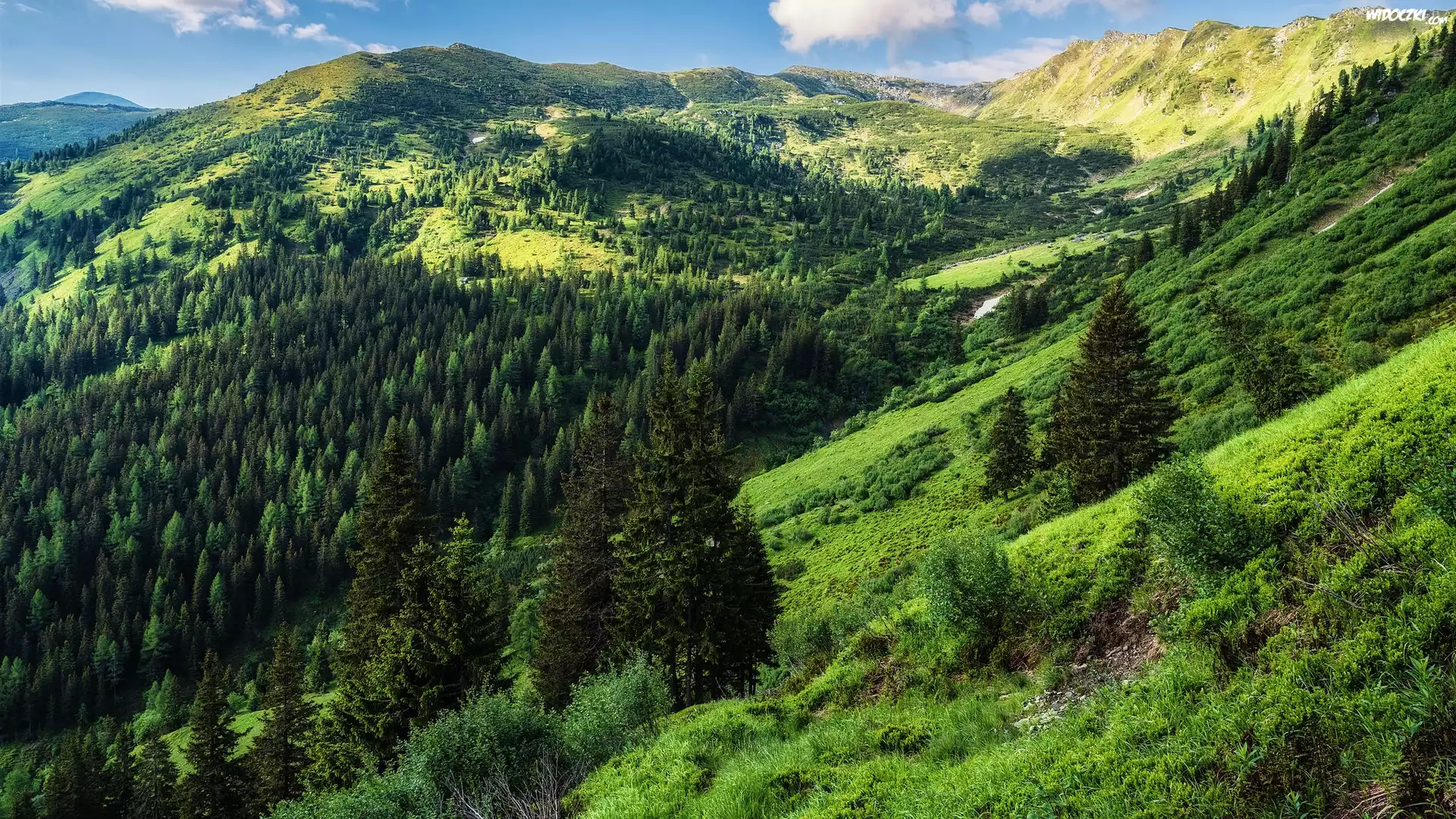 Góry, Rottenmanner und Wolzer Tauern, Niskie Taury, Drzewa, Wzgórza, Austria