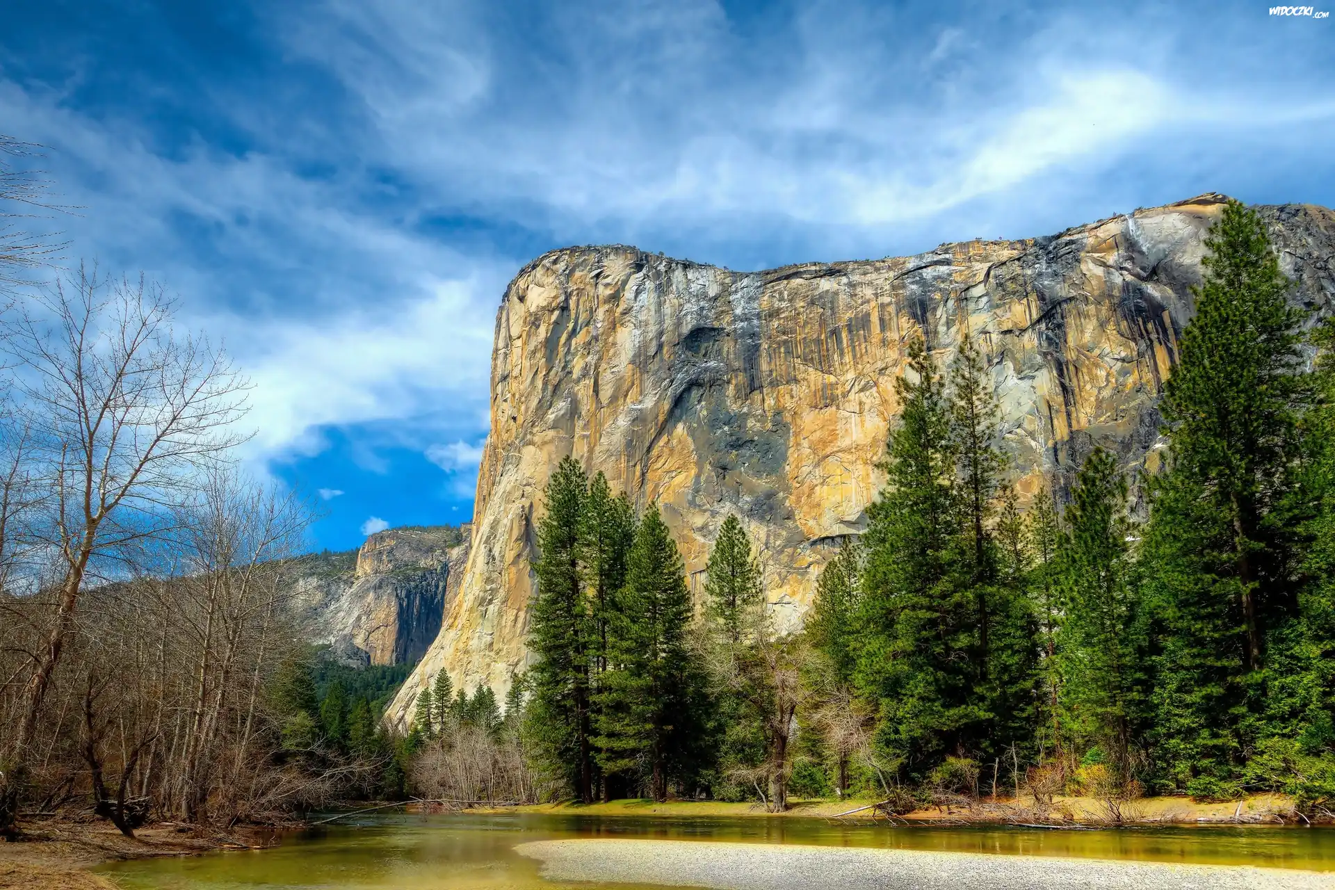 Stany Zjednoczone, Stan Kalifornia, Park Narodowy Yosemite, Góry, Drzewa
