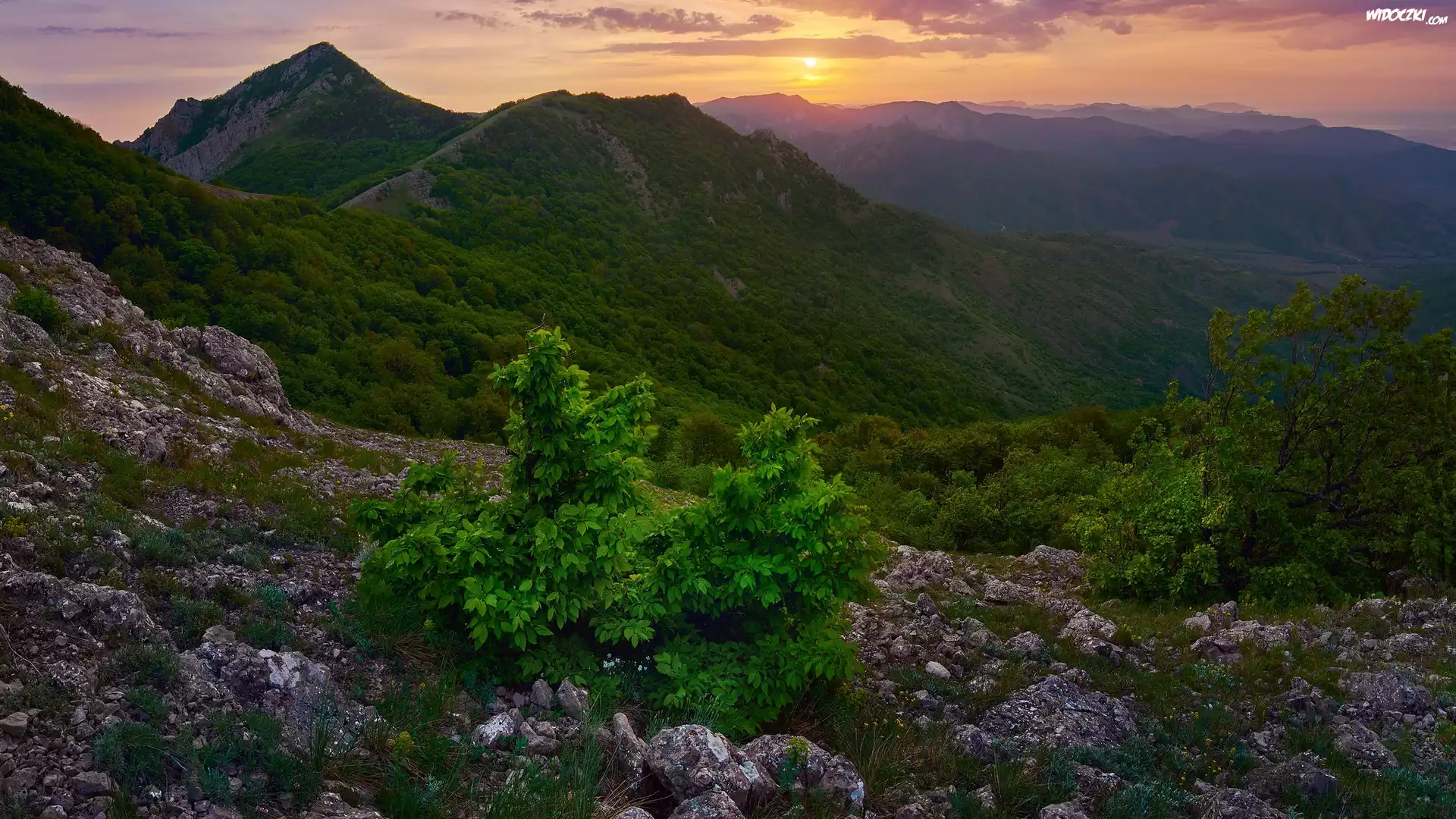 Góry, Skały, Krzewy, Roślinność, Zachód słońca