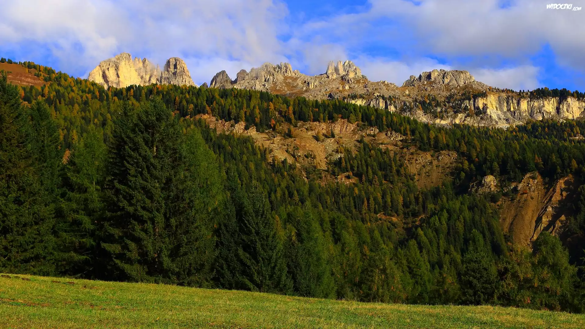 Góry, Skały, Drzewa, Świerki, Zielony, Las