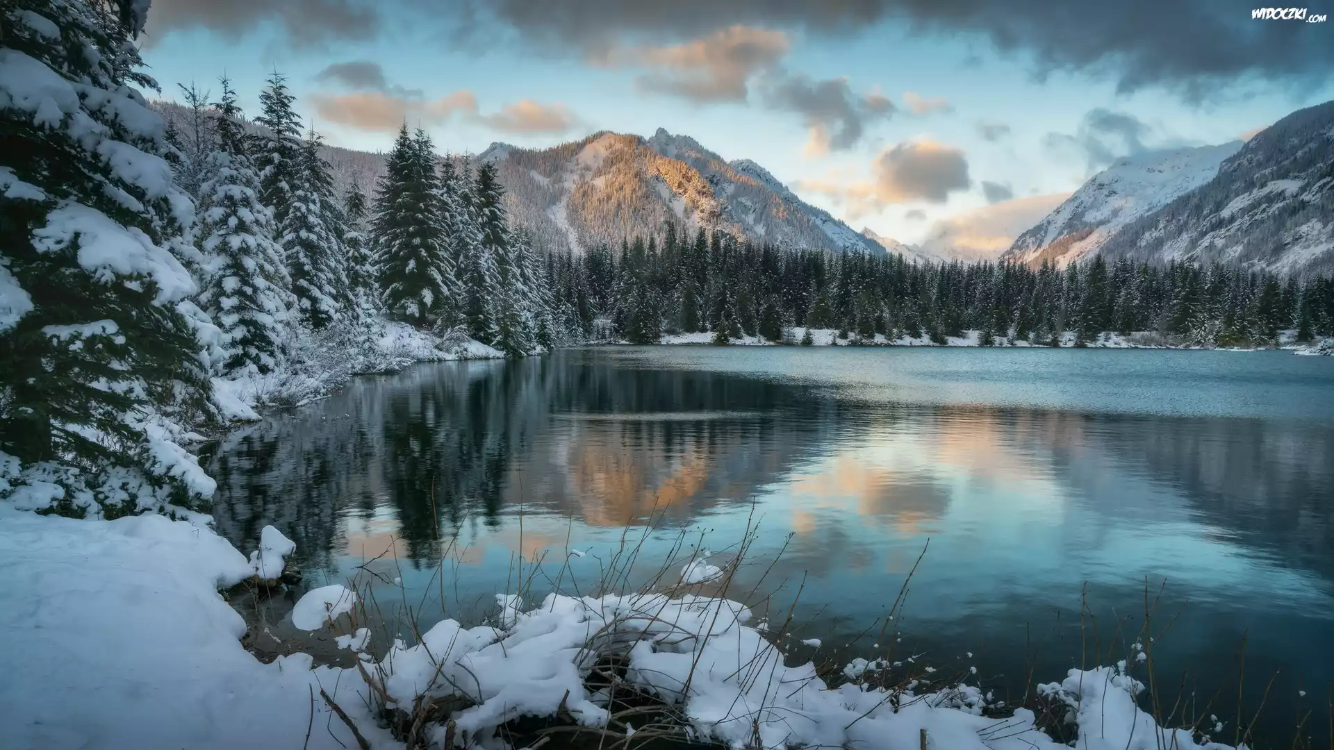 Zima, Drzewa, Lasy, Śnieg, Góry Kaskadowe, Jezioro Gold Creek Pond, Stan Waszyngton, Stany Zjednoczone