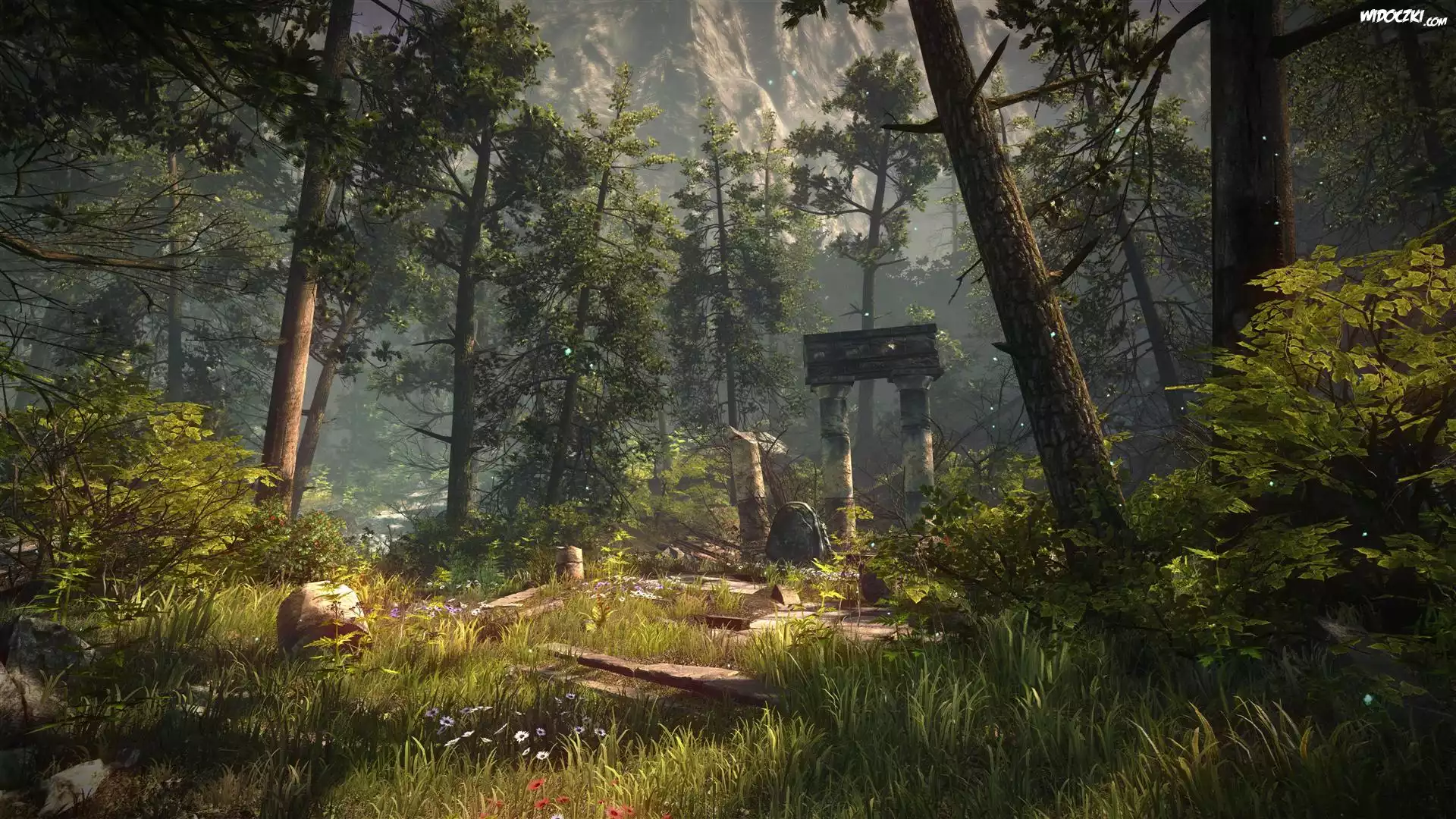 Gra, The Forest, Las, Ruiny