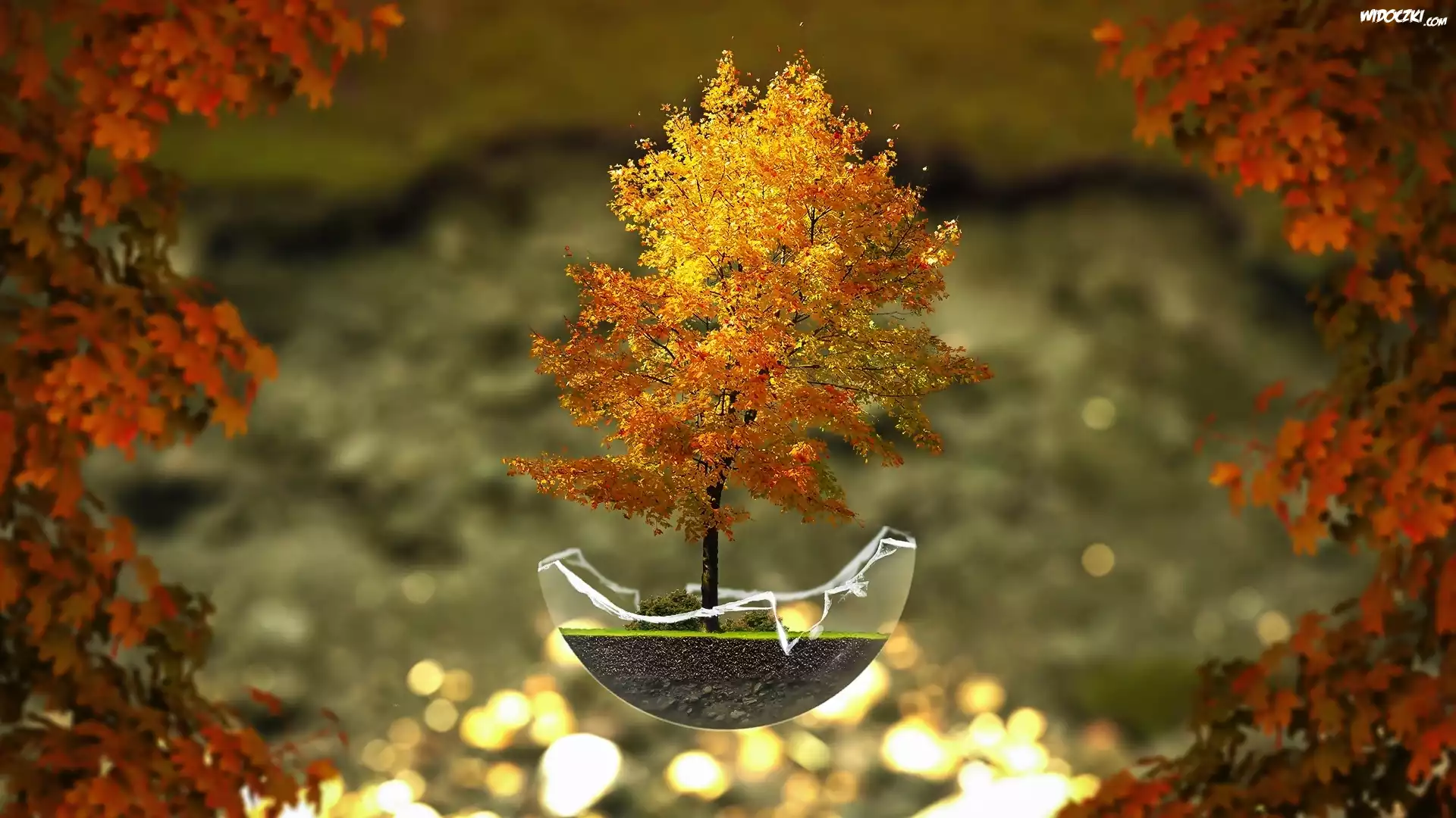 Grafika, Fantasy, Jesień, Drzewko, Bonsai