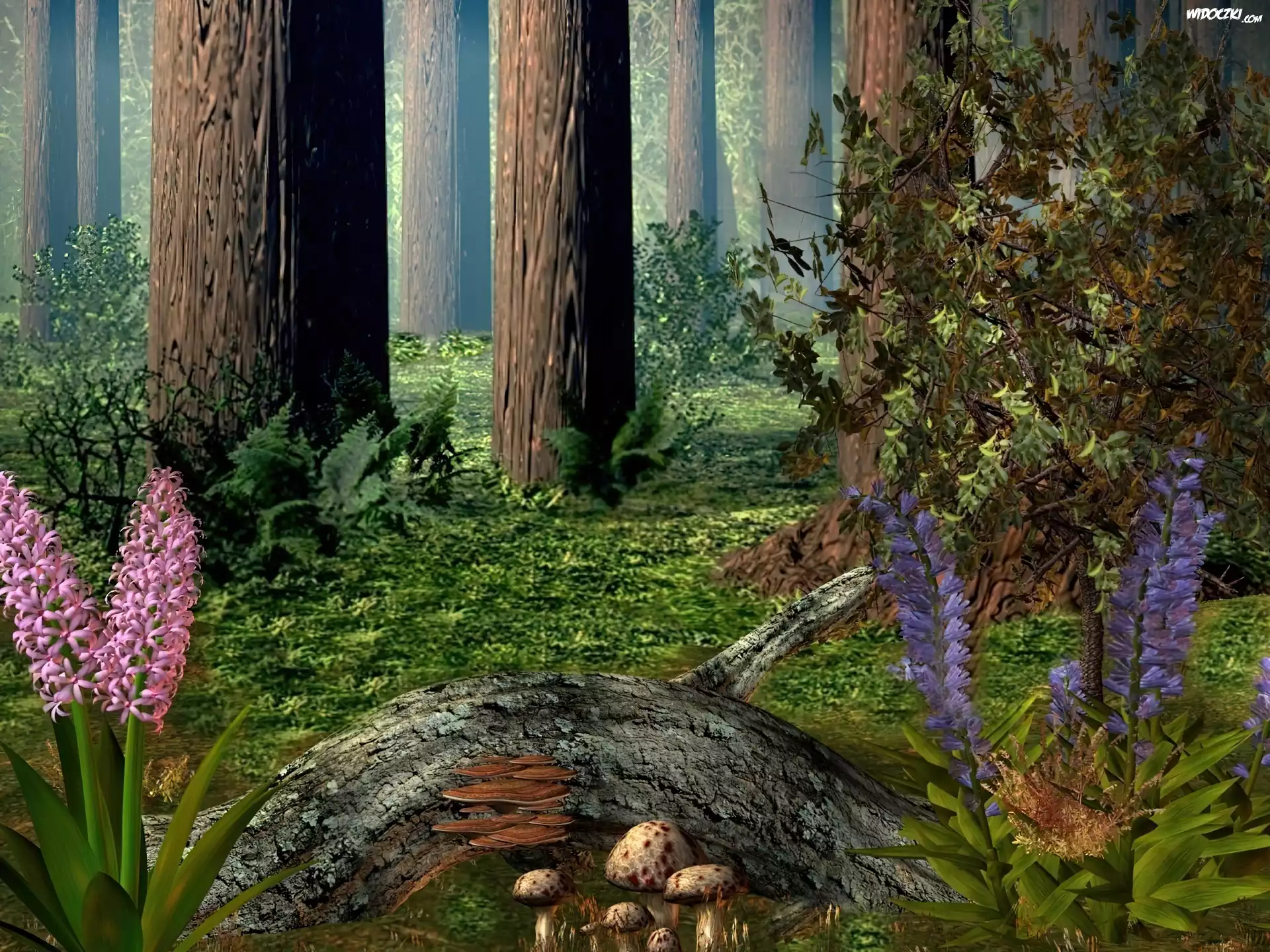 Las, Grafika 3D