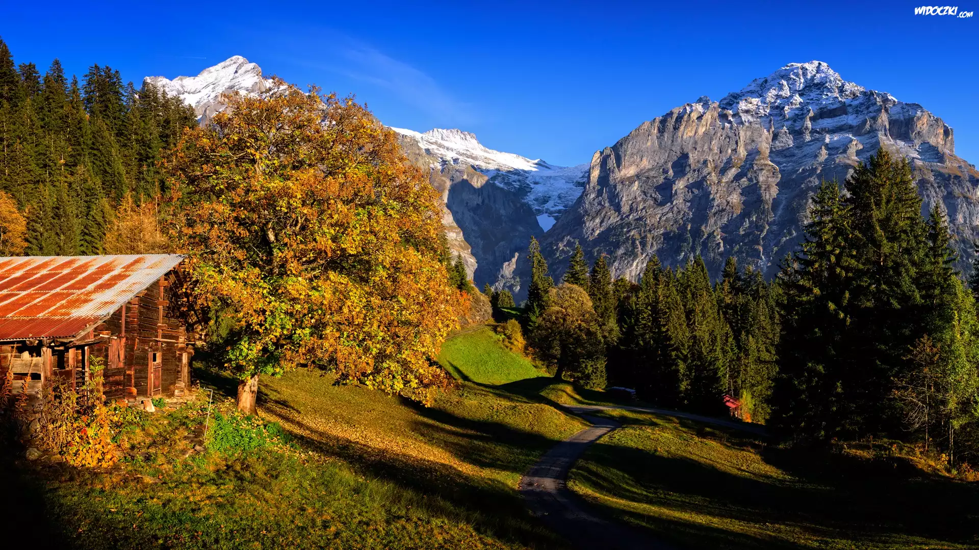 Szwajcaria, Kanton Berno, Dom, Wieś Grindelwald, Góry, Alpy Berneńskie, Drzewa, Droga, Jesień