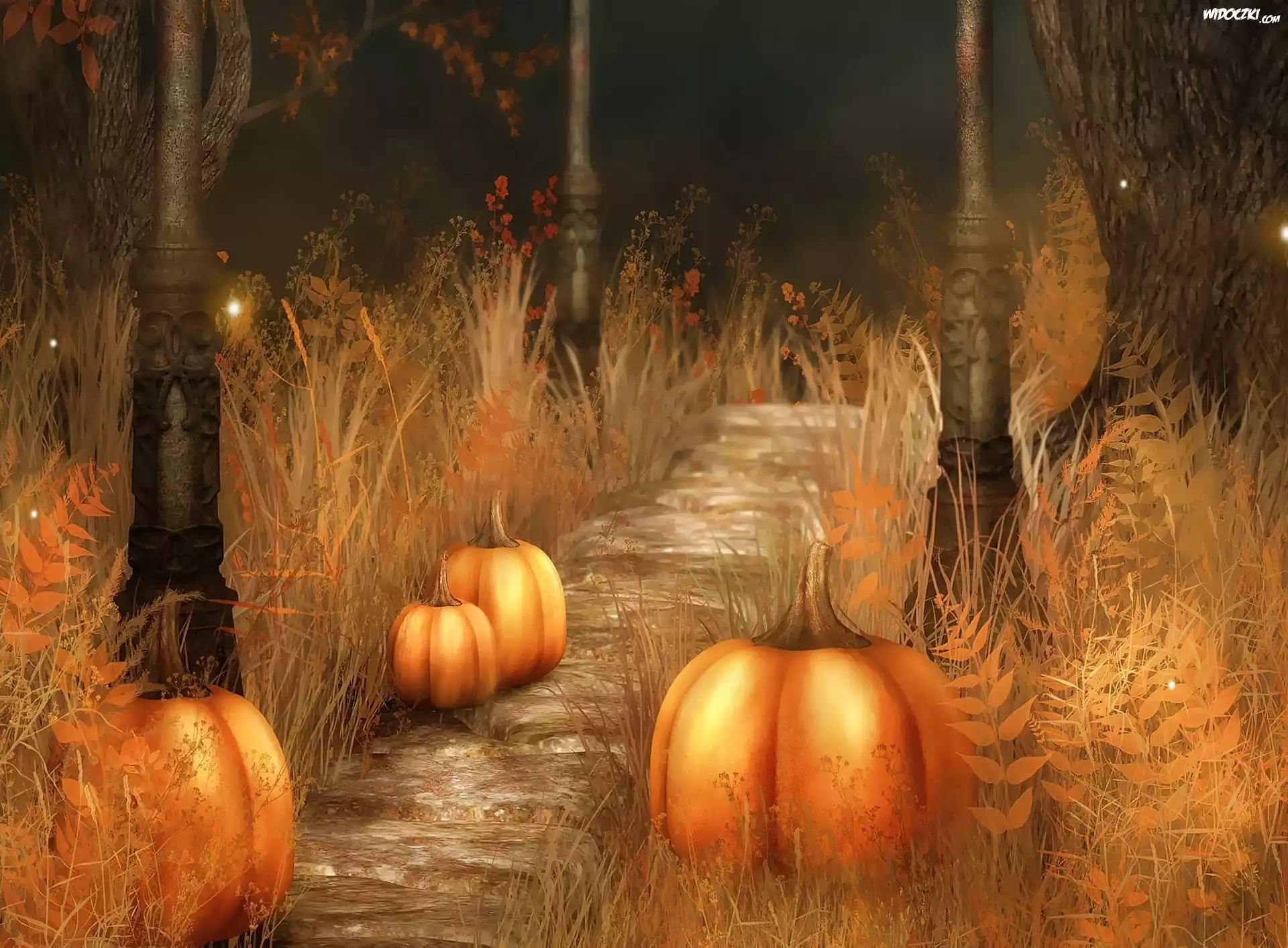 Halloween, Dynie, Droga, Grafika