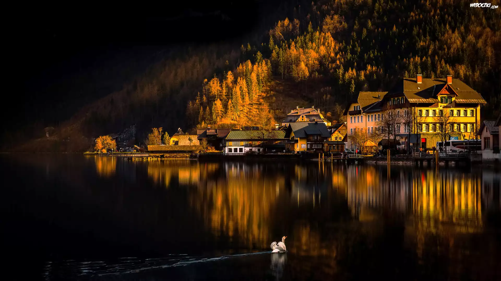 Austria, Miasteczko Hallstatt, Jezioro Hallstättersee, Góry Alpy Salzburskie, Domy, Łabędź