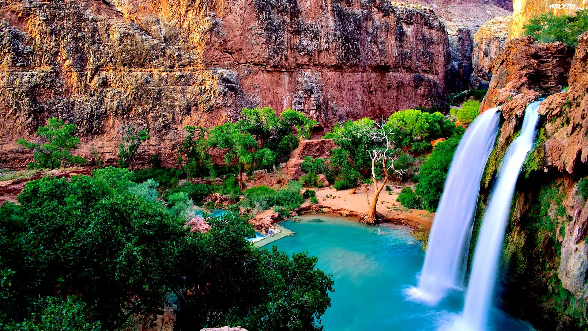Wodospad Havasu, Skały, Drzewa, Arizona, Stany Zjednoczone