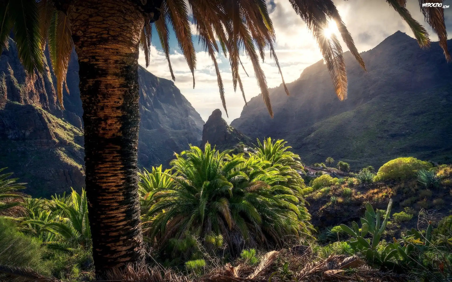 Góry, Przebijające światło, Roślinność, Palmy, Gomera, Wyspy Kanaryjskie, Hiszpania