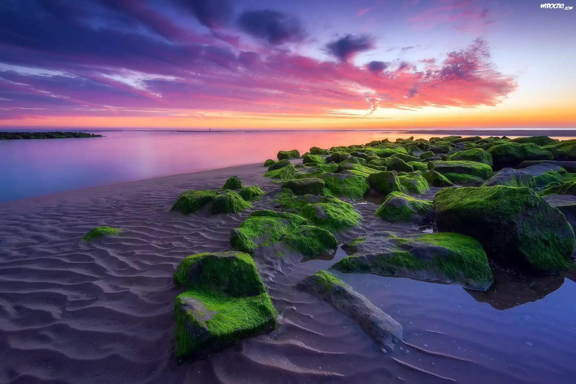 Morze, Zachód słońca, Chmury, Plaża, Omszałe, Kamienie, Miejscowość Katwijk, Holandia