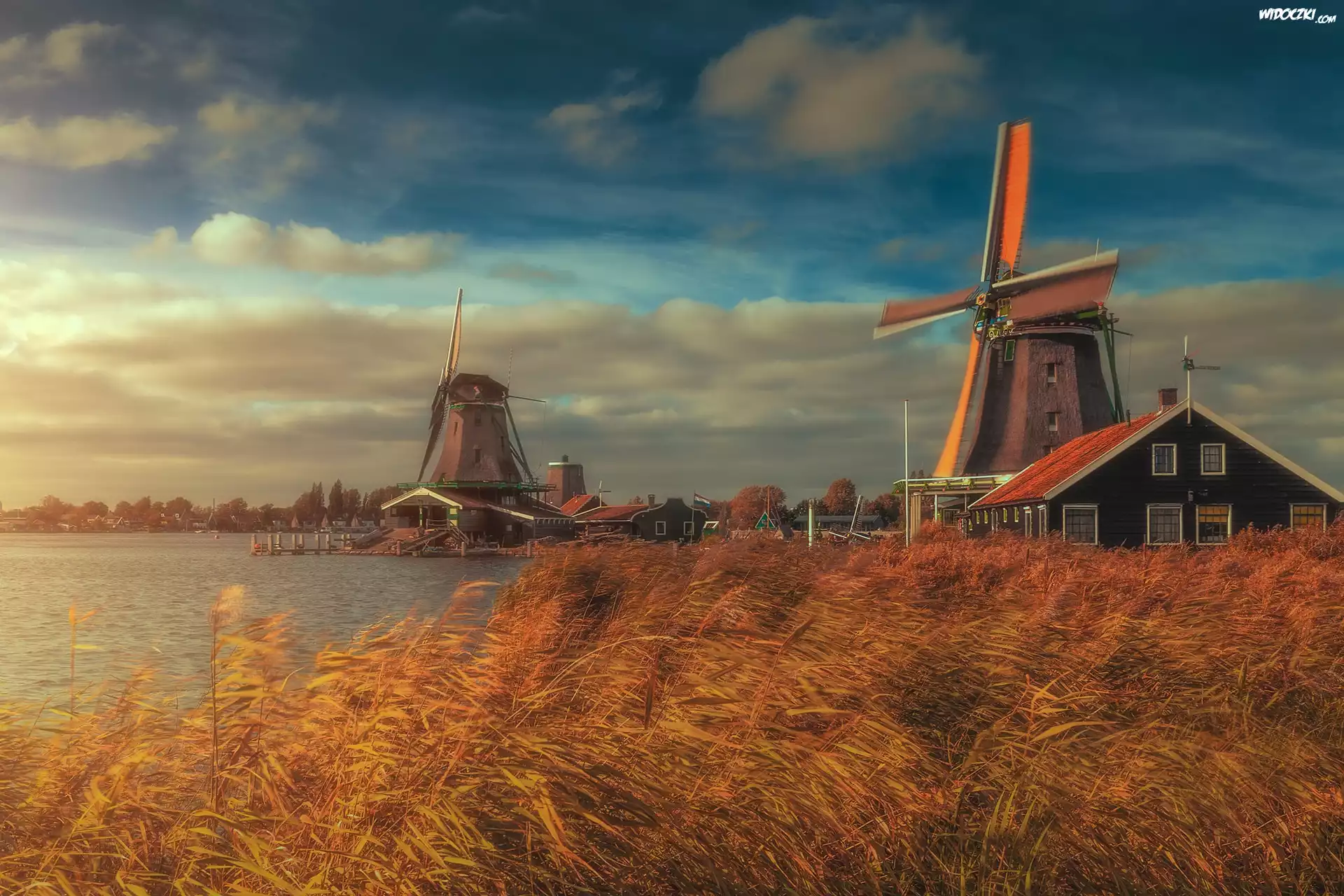 Wiatraki, Domki, Rzeka Zaan, Trawy, Skansen, Zaanse Schans, Zaandam, Holandia