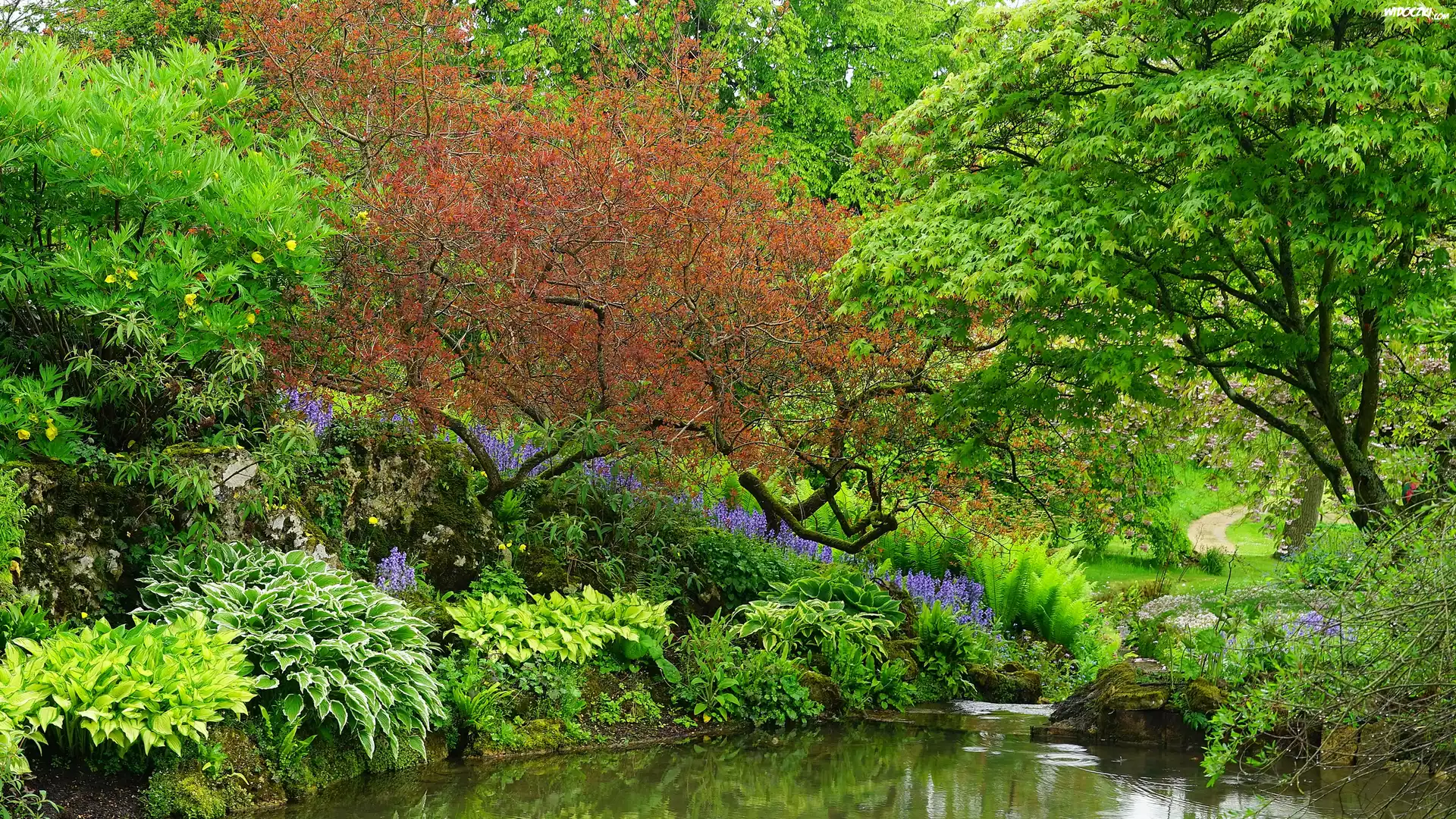 Anglia, Hrabstwo Gloucestershire, Park Sezincote, Staw, Drzewa