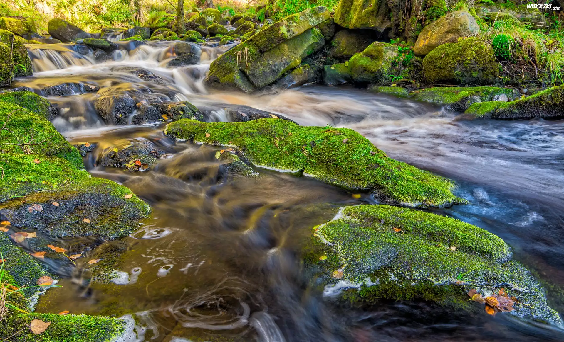 Anglia, Hrabstwo Yorkshire, Rzeka Wharfe, Omszałe, Kamienie