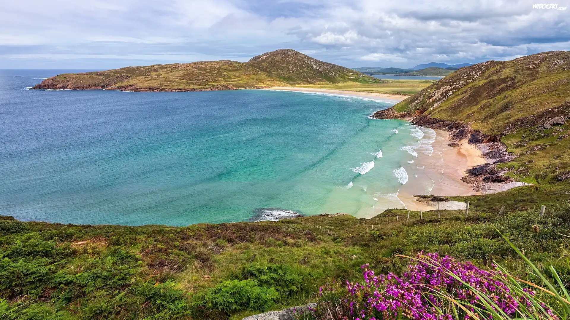 Morze, Wybrzeże, Plaża, Kwiaty, Roślinność, Półwysep Rosguill, Hrabstwo Donegal, Irlandia