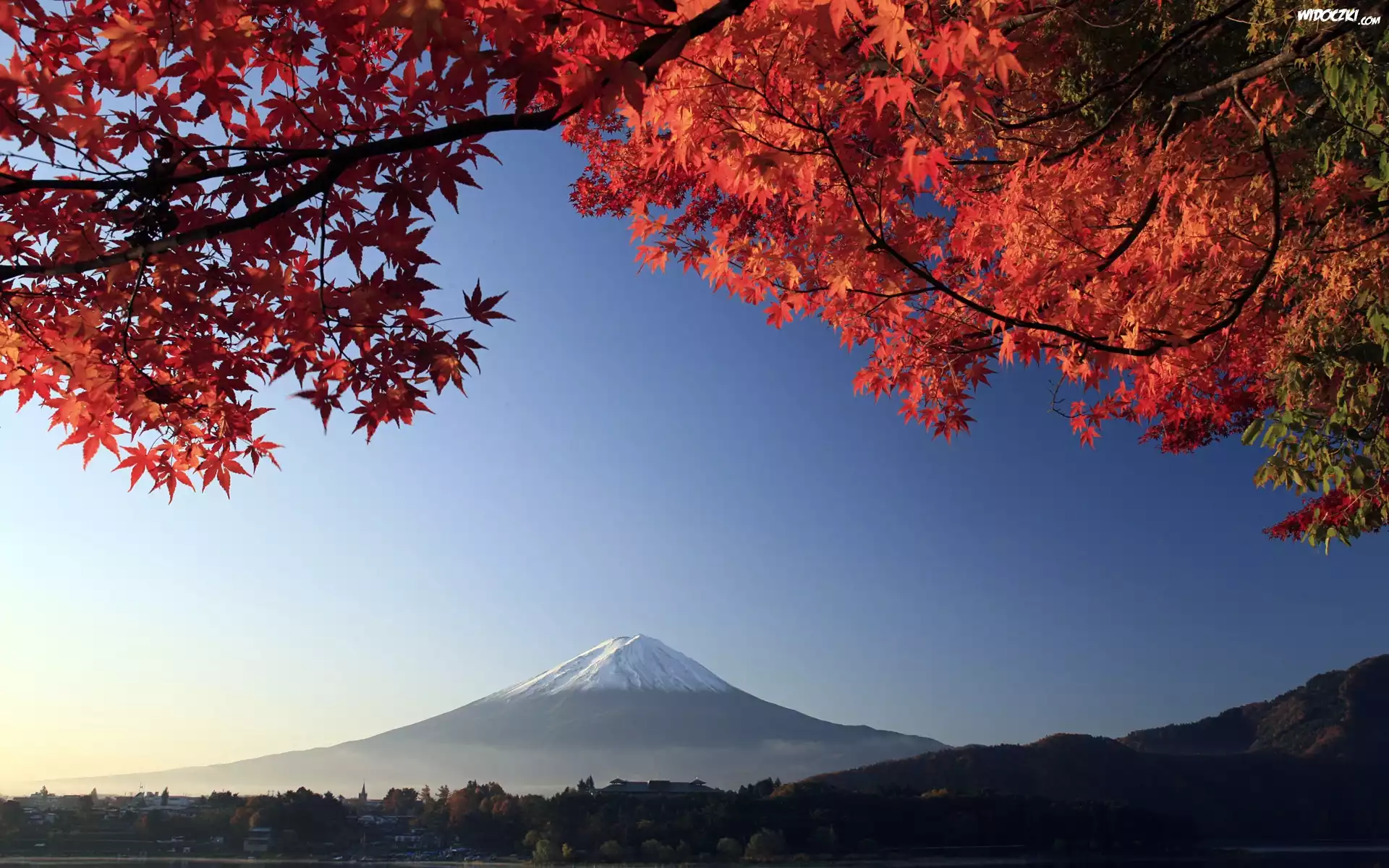 Japonia, Góra, Mount, Fuji, Czerwone, Liście