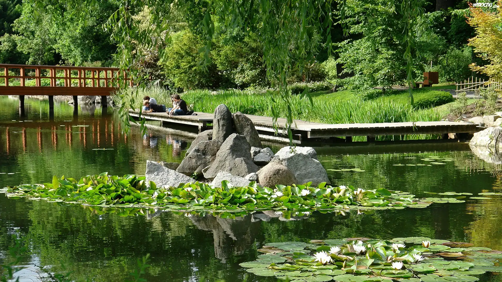 Japoński Ogród, Wrocław, Park Szczytnicki