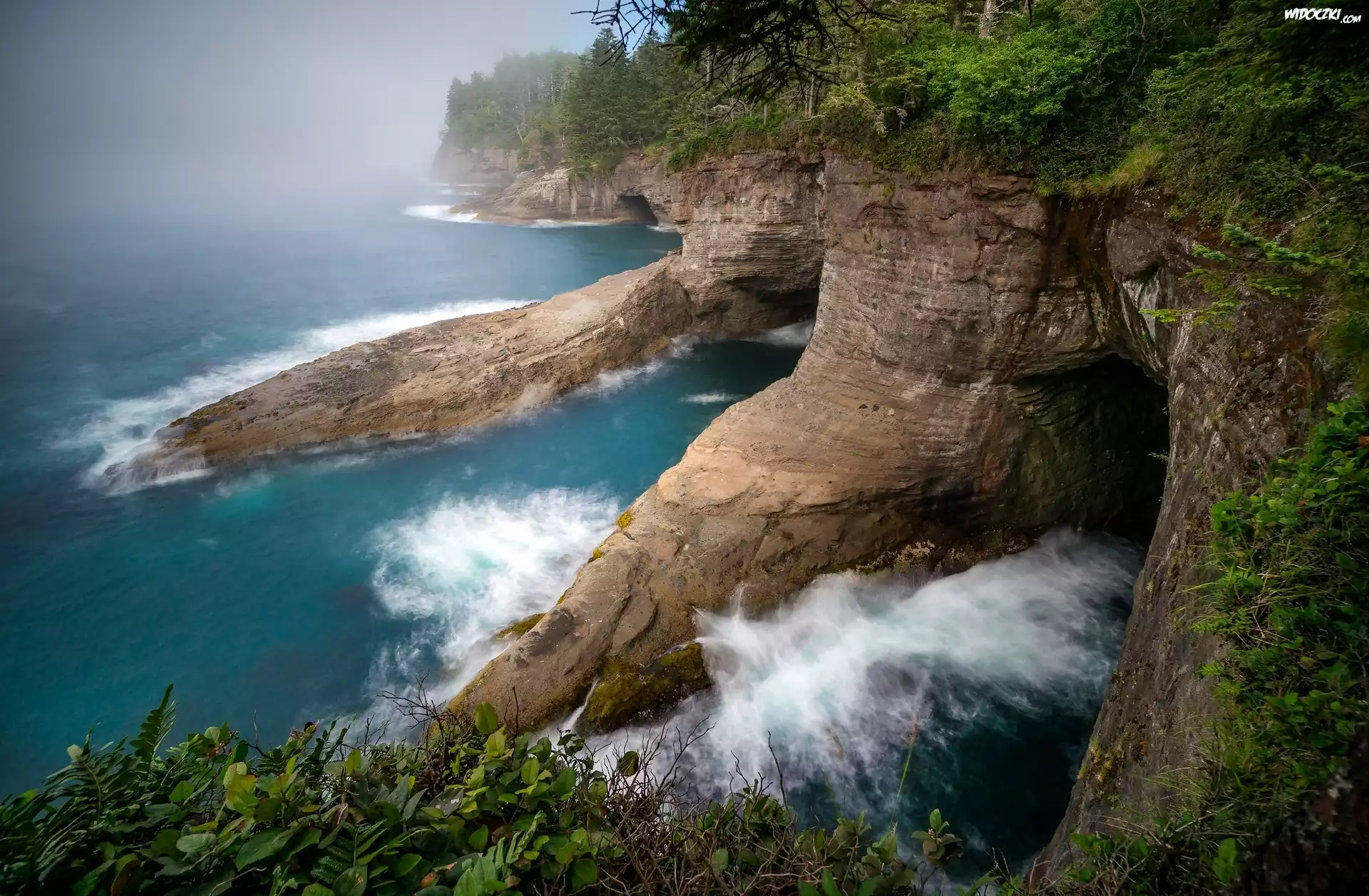 Jaskinie, Przylądek Cape Flattery, Park Narodowy Olympic, Stan Waszyngton, Stany Zjednoczone, Morze, Wybrzeże, Skały, Rośliny