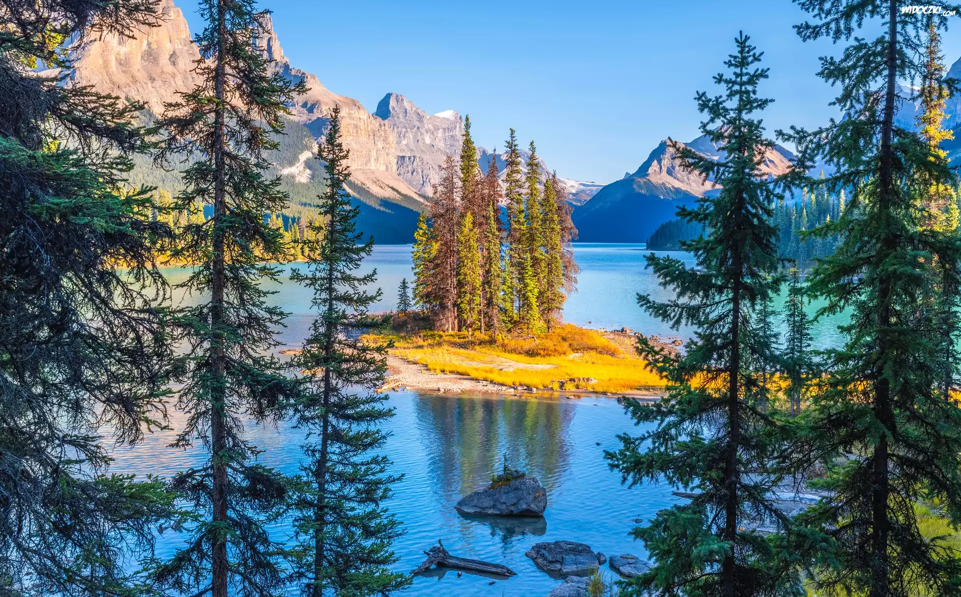 Kanada, Park Narodowy Jasper, Góry, Jezioro Maligne Lake, Wyspa Spirit Island, Drzewa, Alberta
