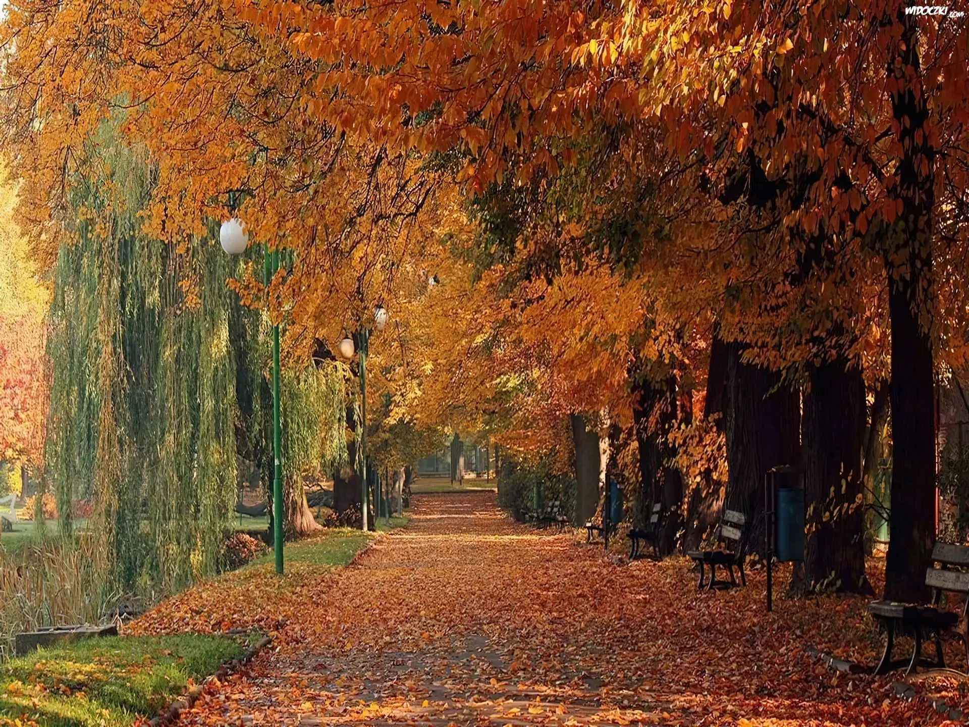 Jesień, Park, Aleja, Ławki