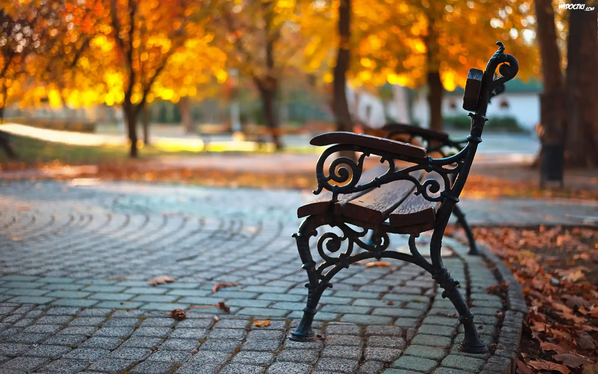 Jesień, Park, Alejka, Ławka