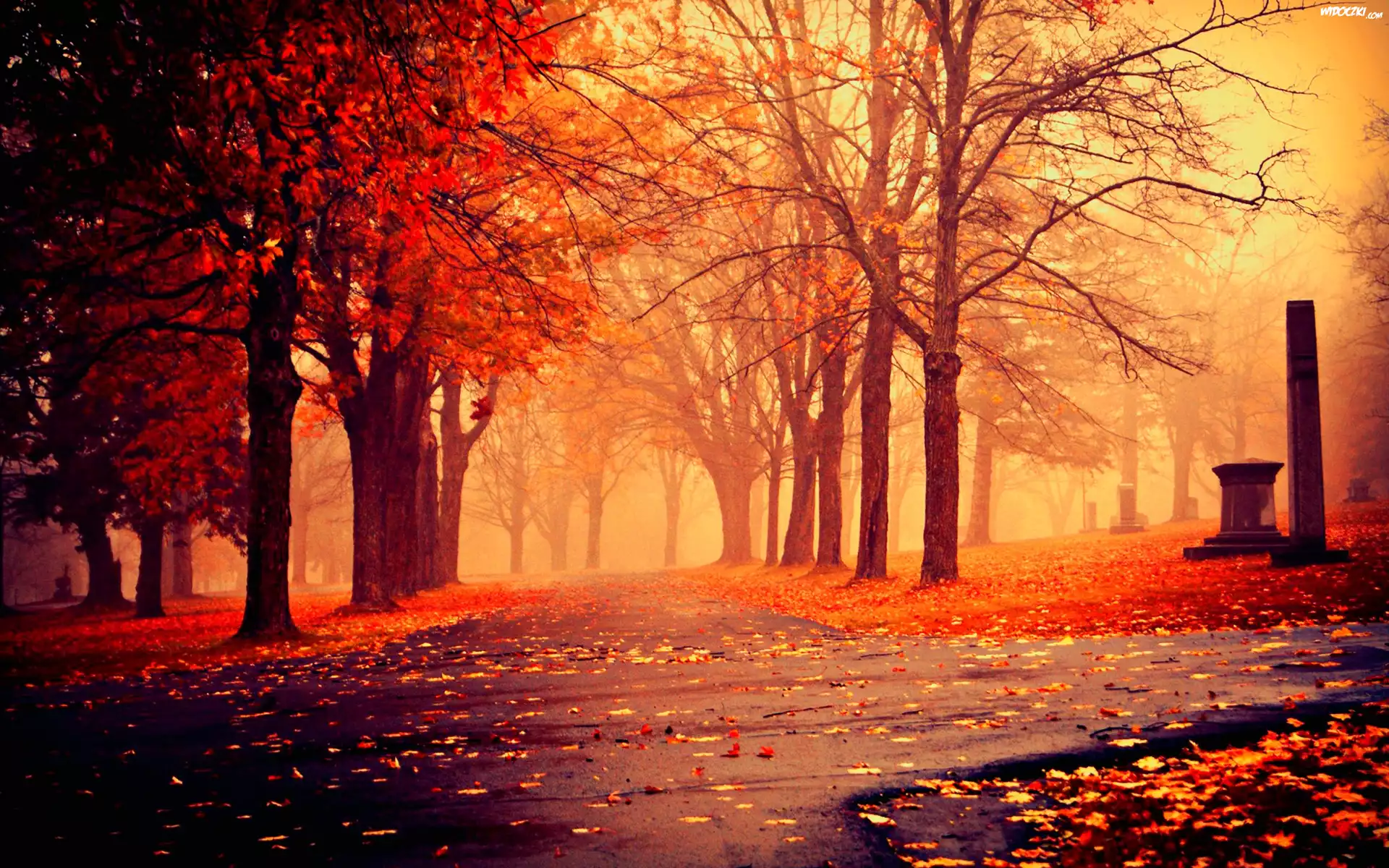 Jesień, Park, Alejki, Drzewa