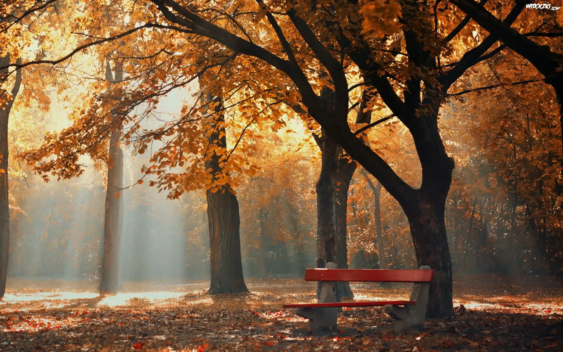Jesień, Park, Ławka, Mgła