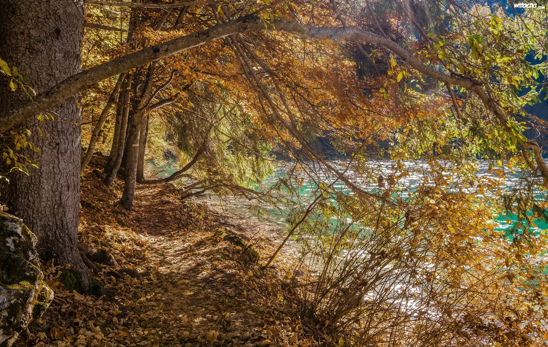 Jesień, Jezioro, Lago di Tovel, Drzewa, Brzeg, Trydent, Włochy