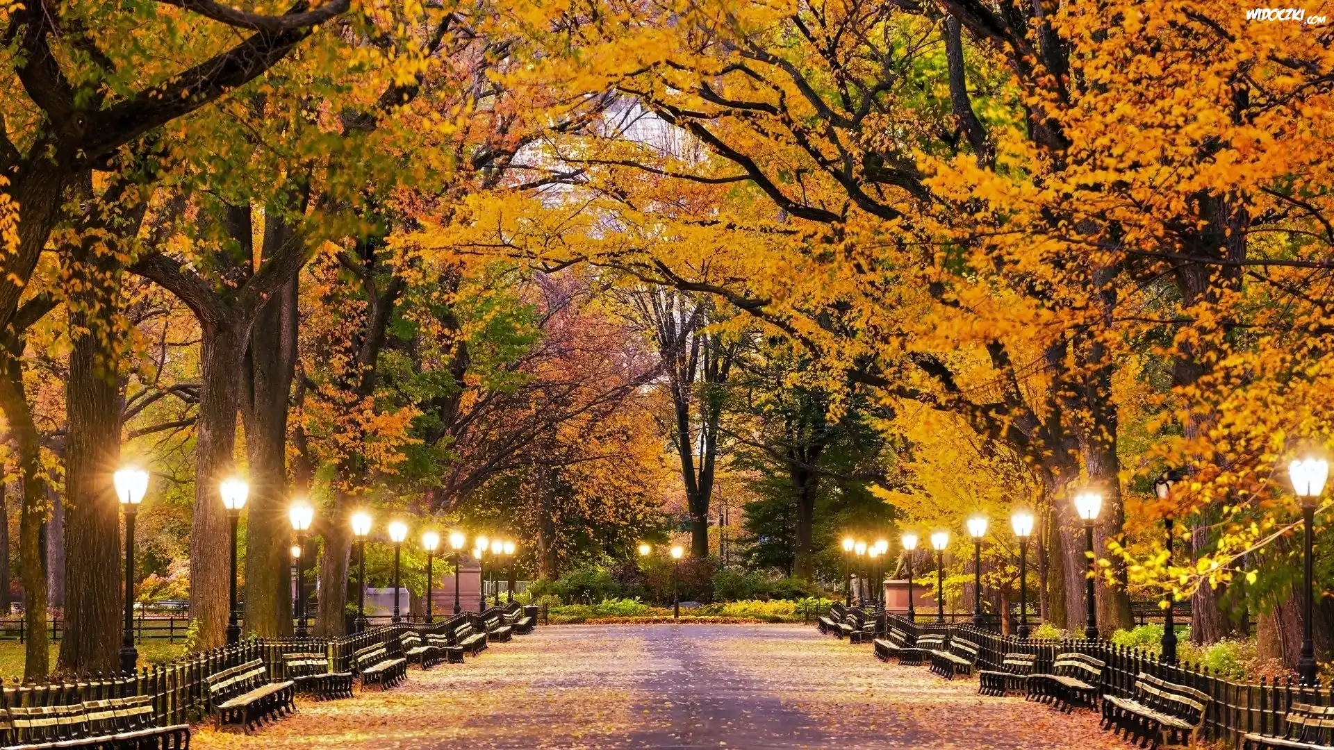 Stany Zjednoczone, Nowy Jork, Central Park, Aleja, Ławeczki, Latarnie, Jesień