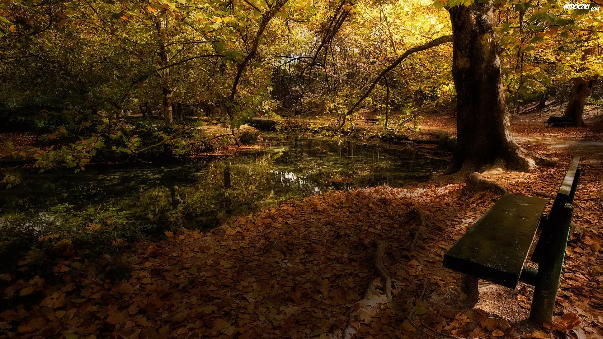 Jesień, Park, Ławka, Drzewa, Staw