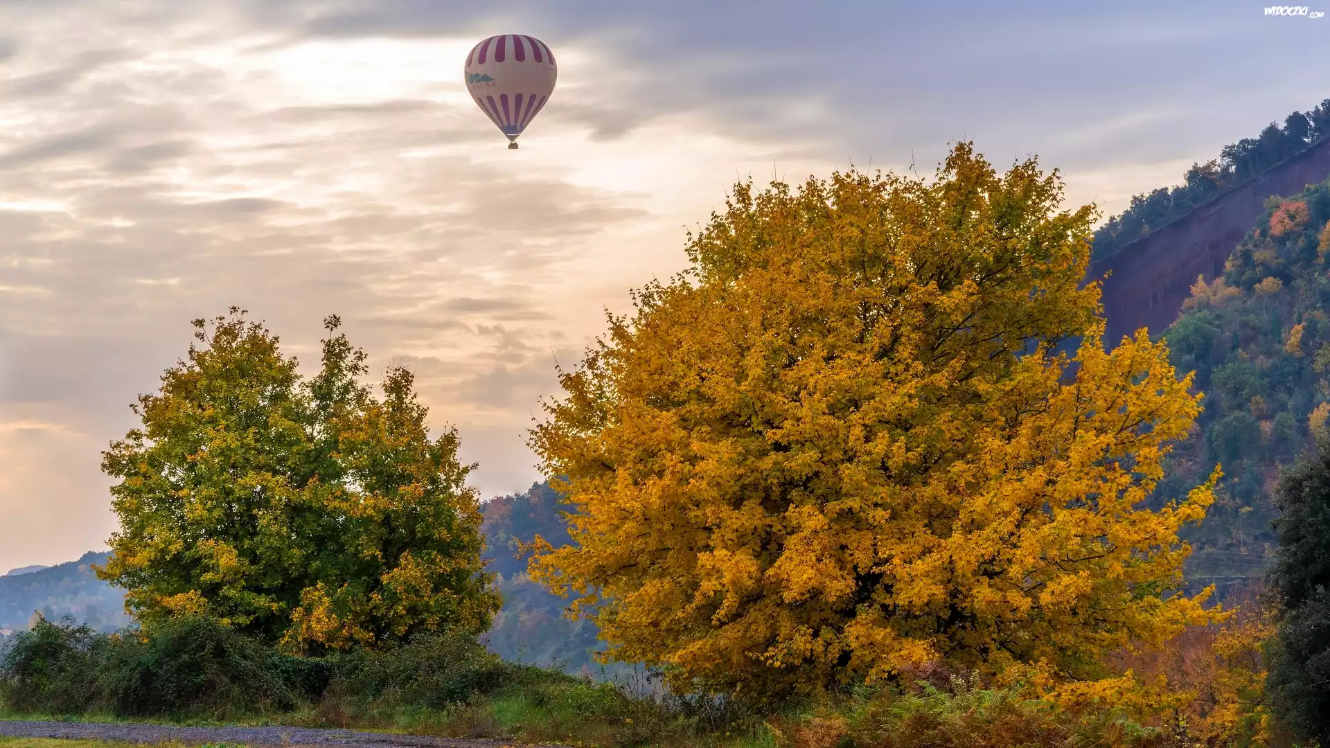 Drzewa, Jesień, Balon
