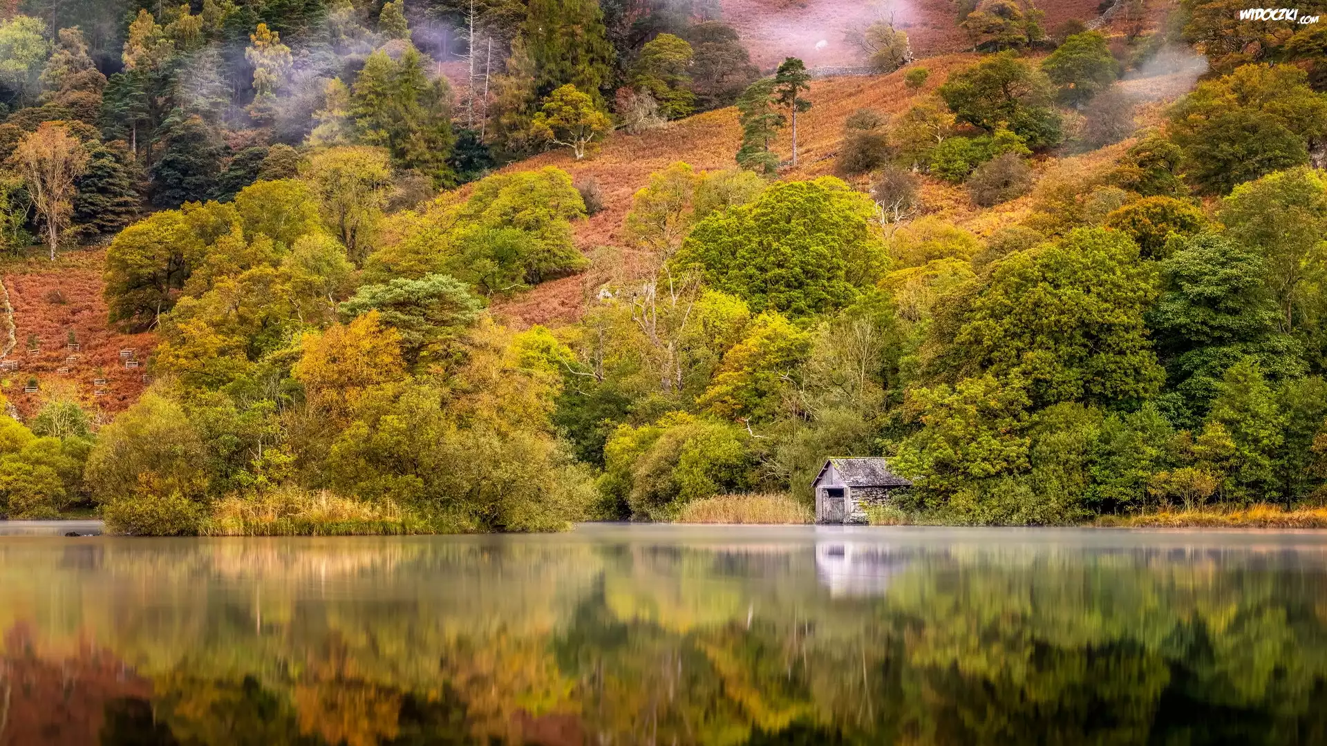 Jesień, Jezioro, Las, Drzewa, Odbicie, Mgła, Chata, Park Narodowy Lake District, Kumbria, Anglia