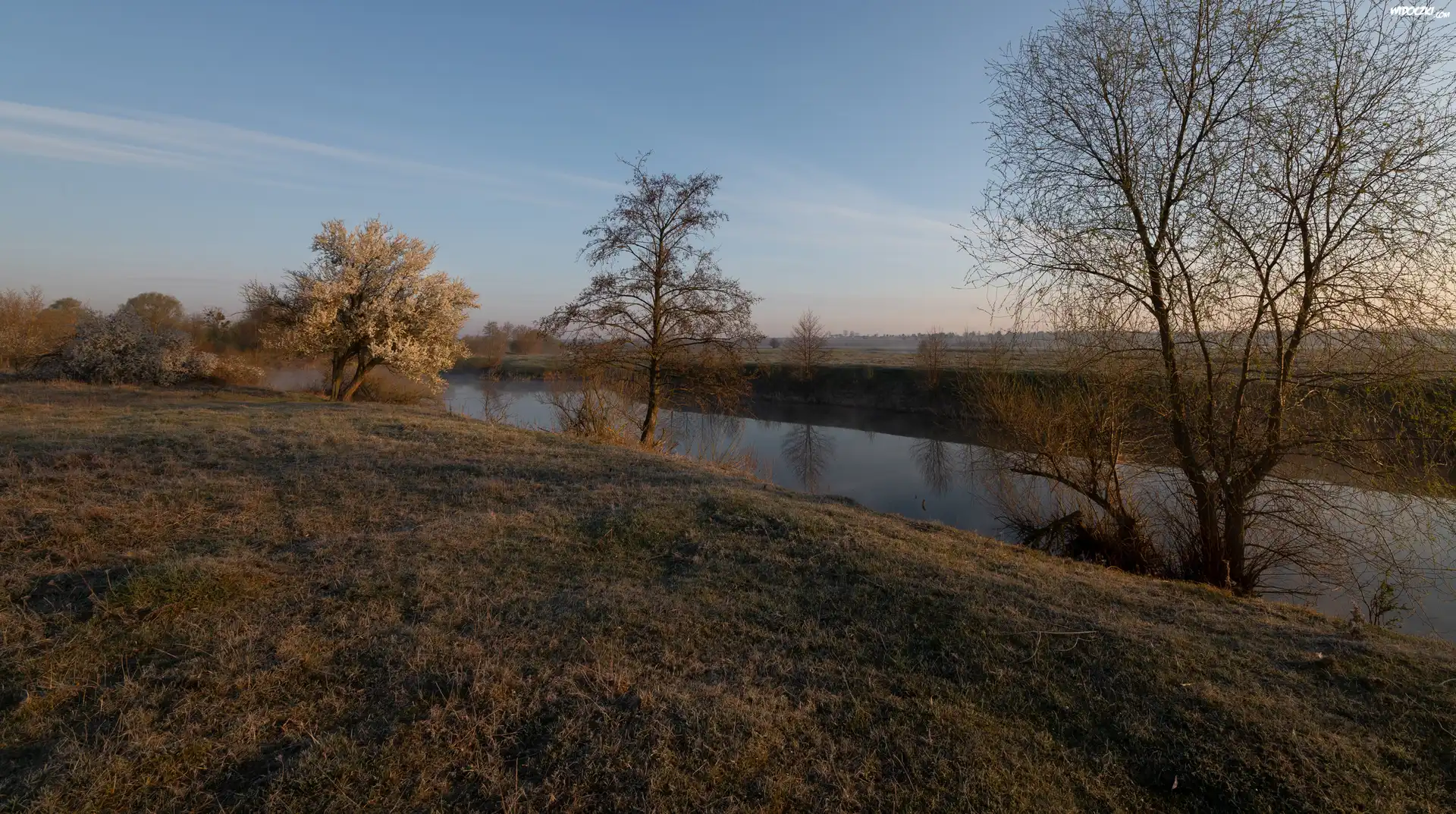Jesień, Rzeka, Drzewa, Trawa