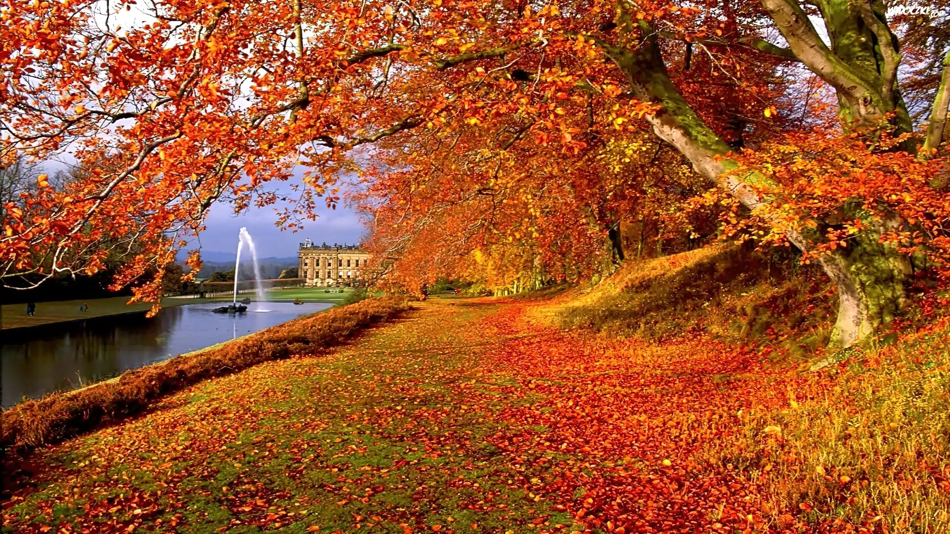 Jesień, Drzewo, Sadzawka, Fontanna, Pałac